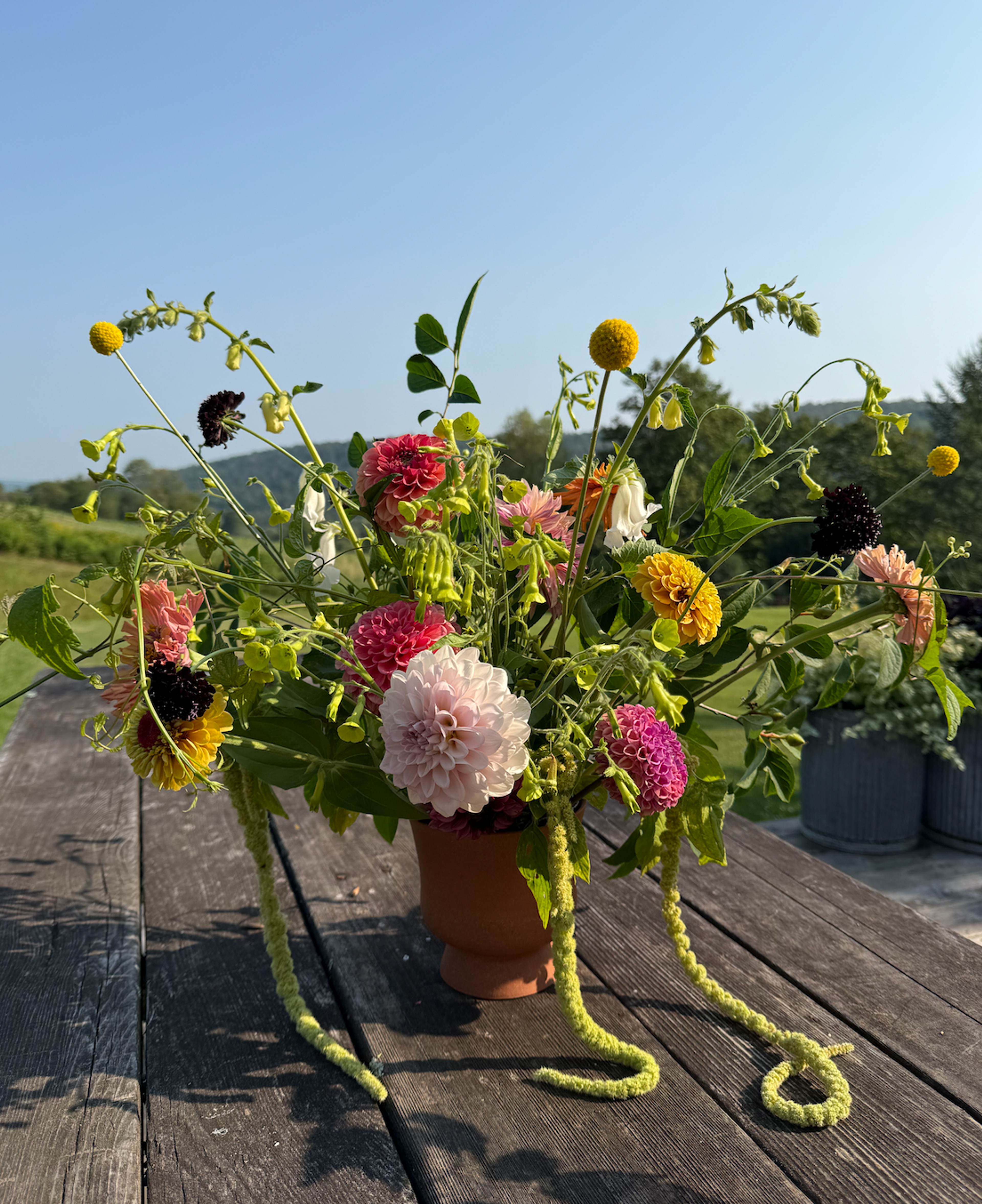 flowers