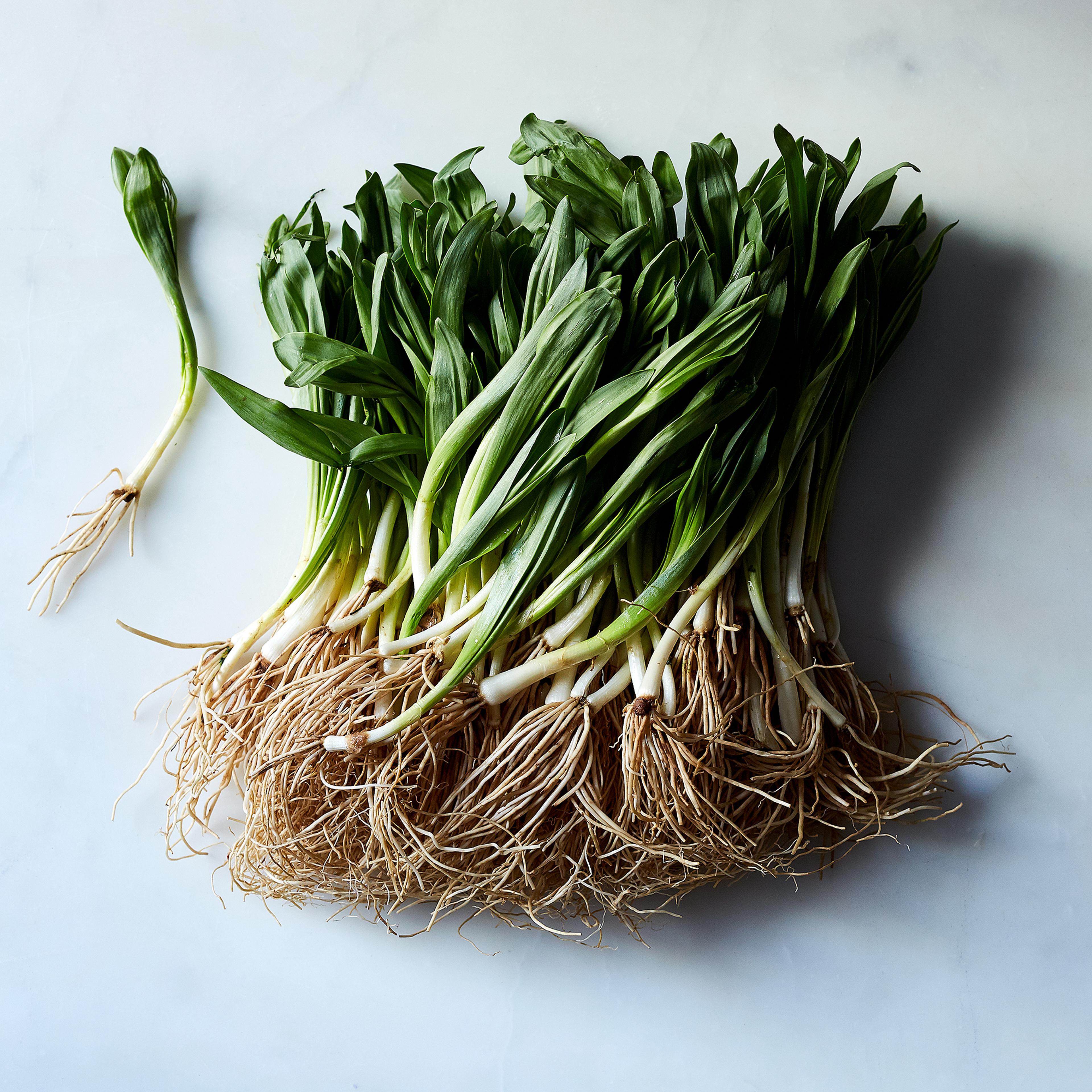 pile of harvested ramps on table