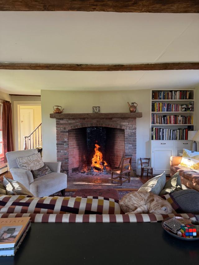 dog in front of fire