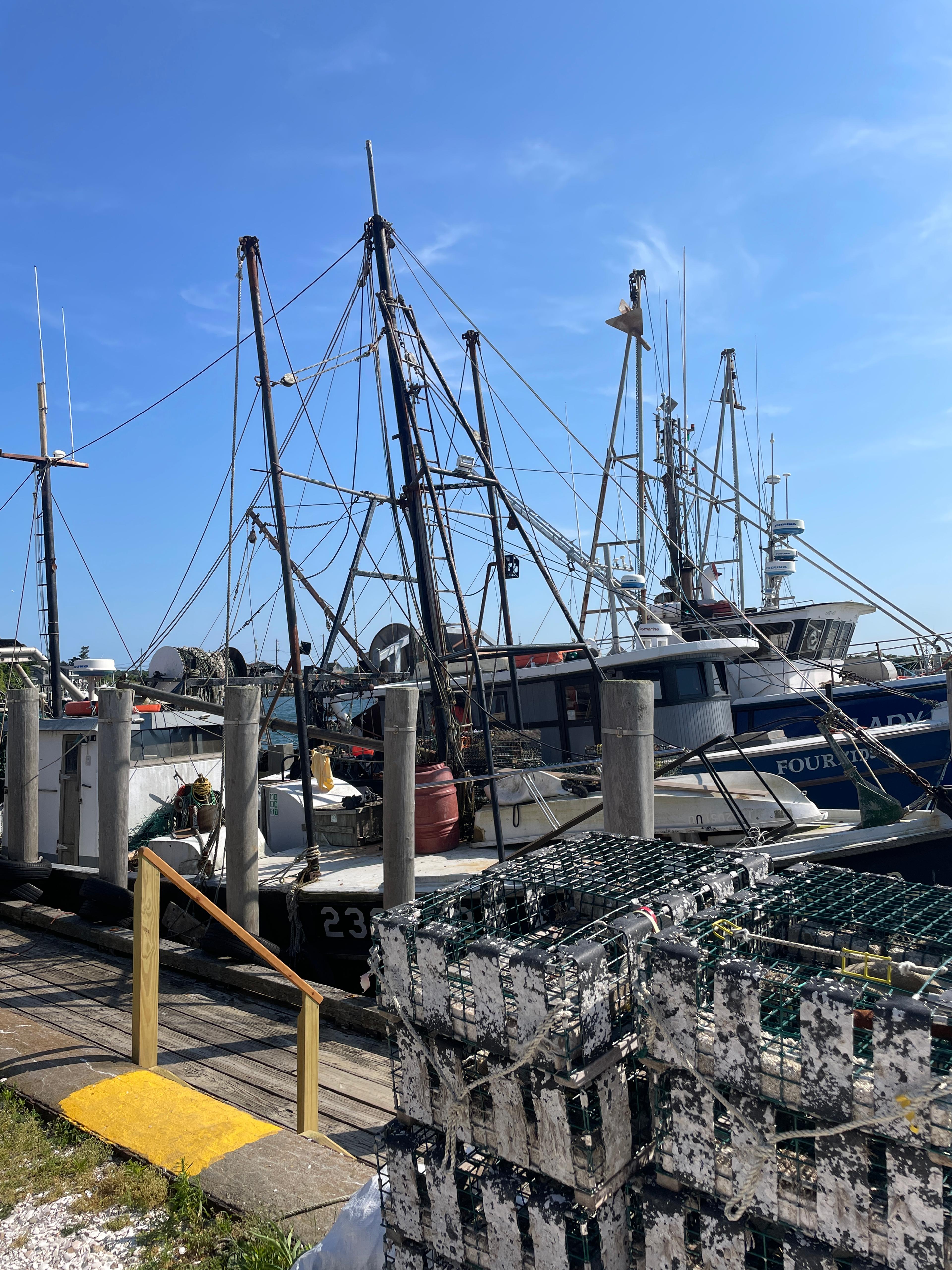 sailboats by dock in Martha's Vineyard