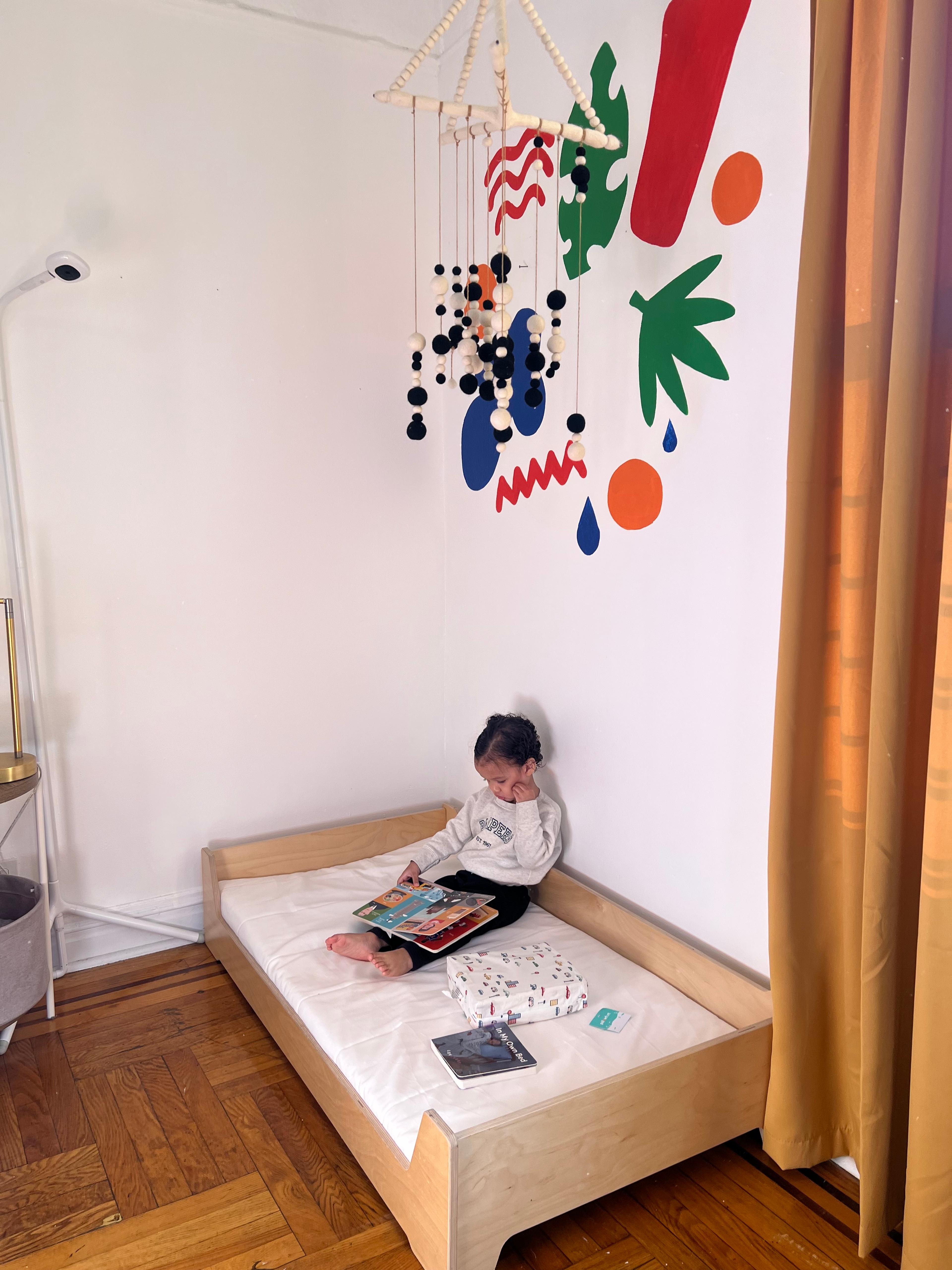 Rosdaly's kid hanging in nursery section in primary bedroom