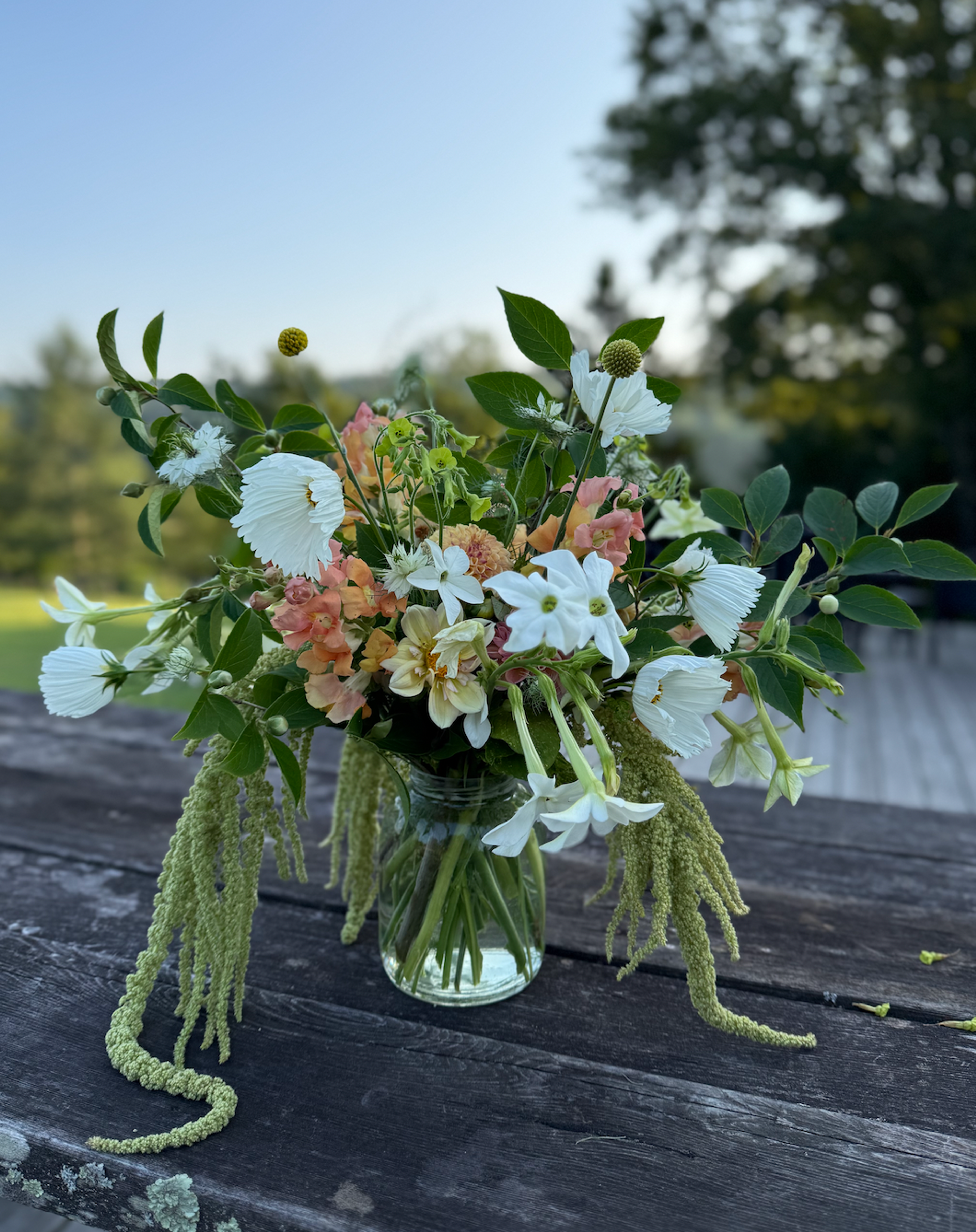 flowers