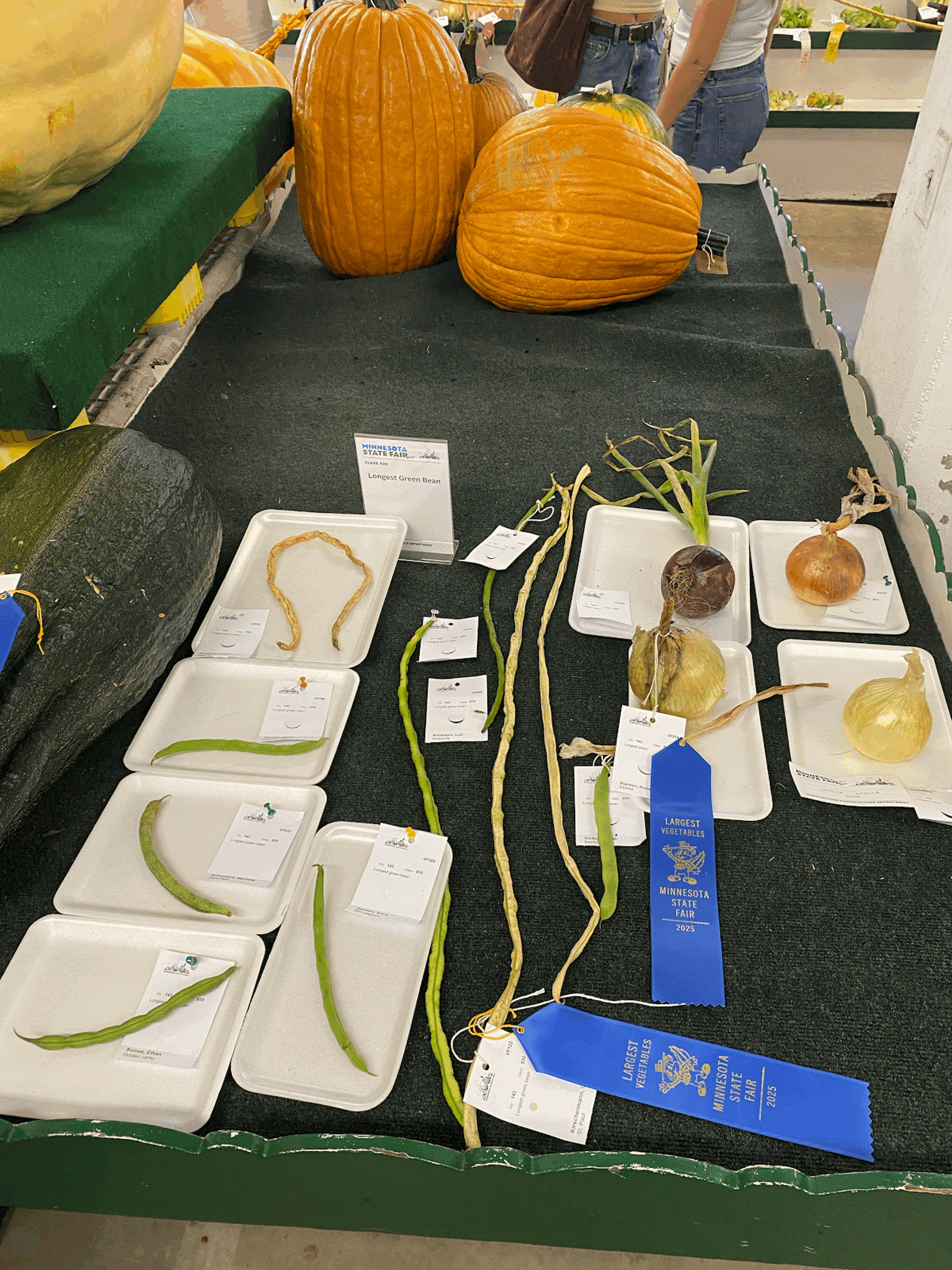 blue ribbon food