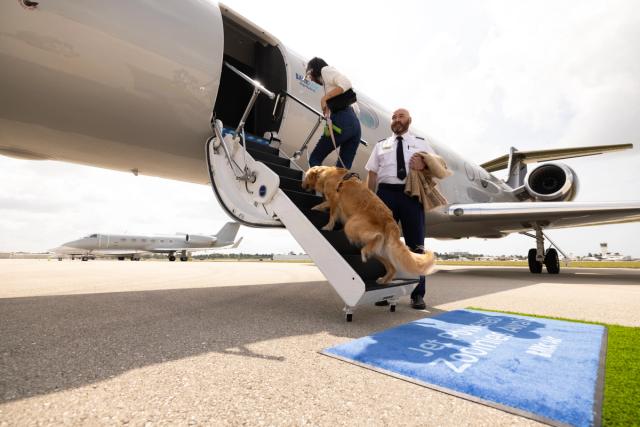 dog boarding private jet