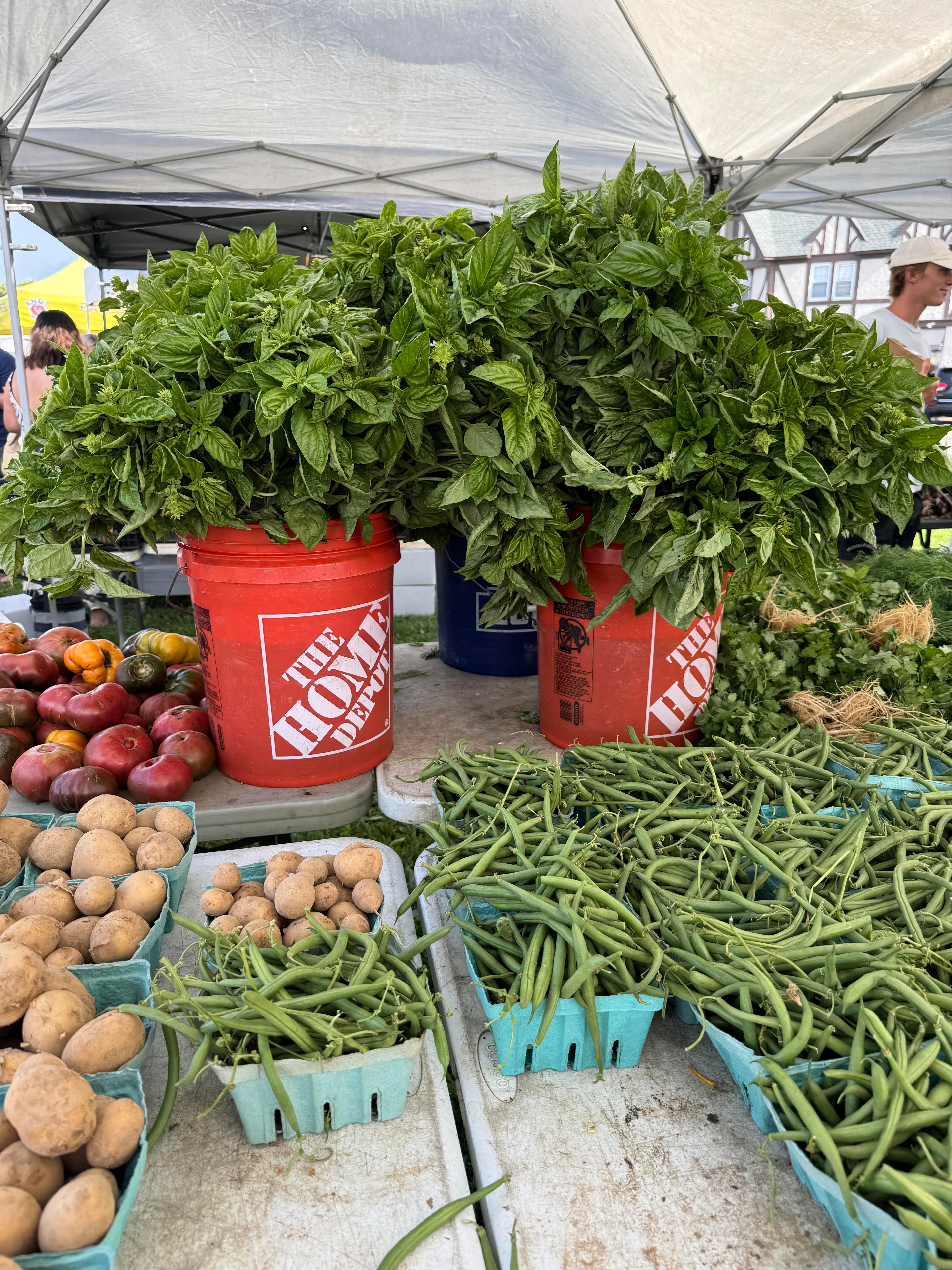 Basil at the Montauk farmers market