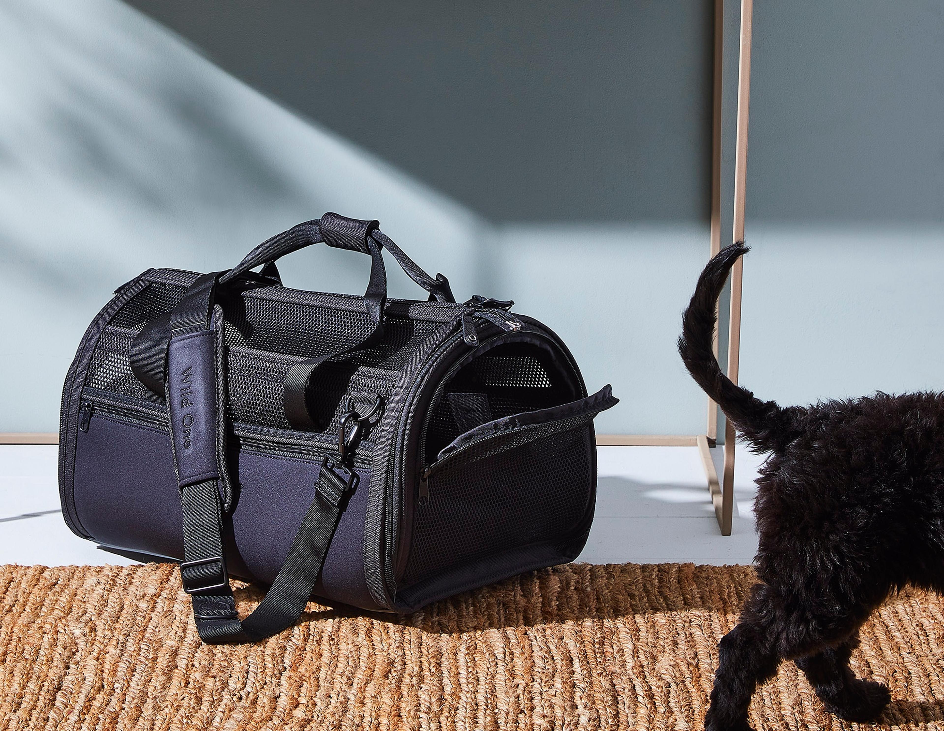 Know Before You Go: Traveling With Pets