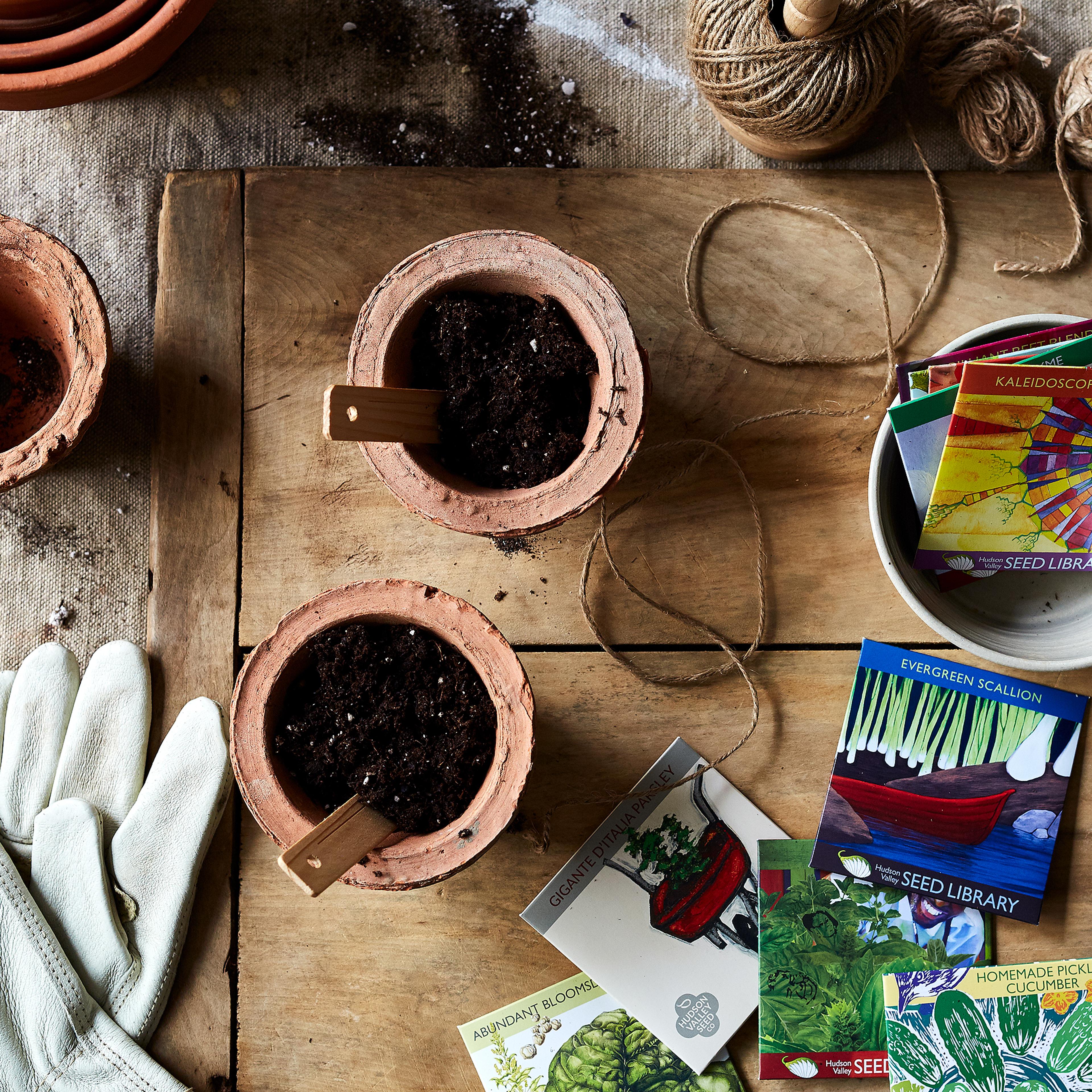 small pots with soils and packets of seeds to side