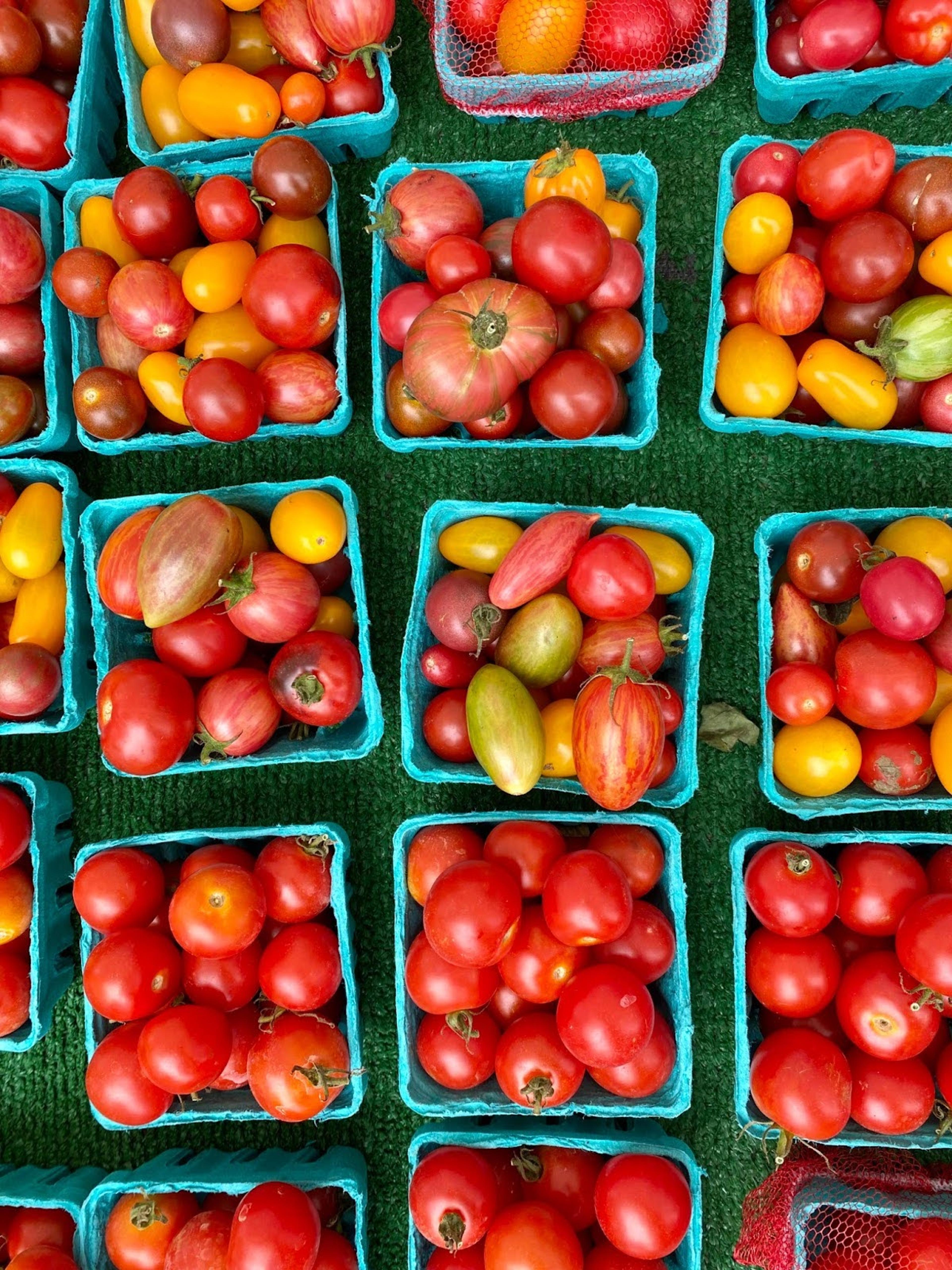 baskets of tomatoes