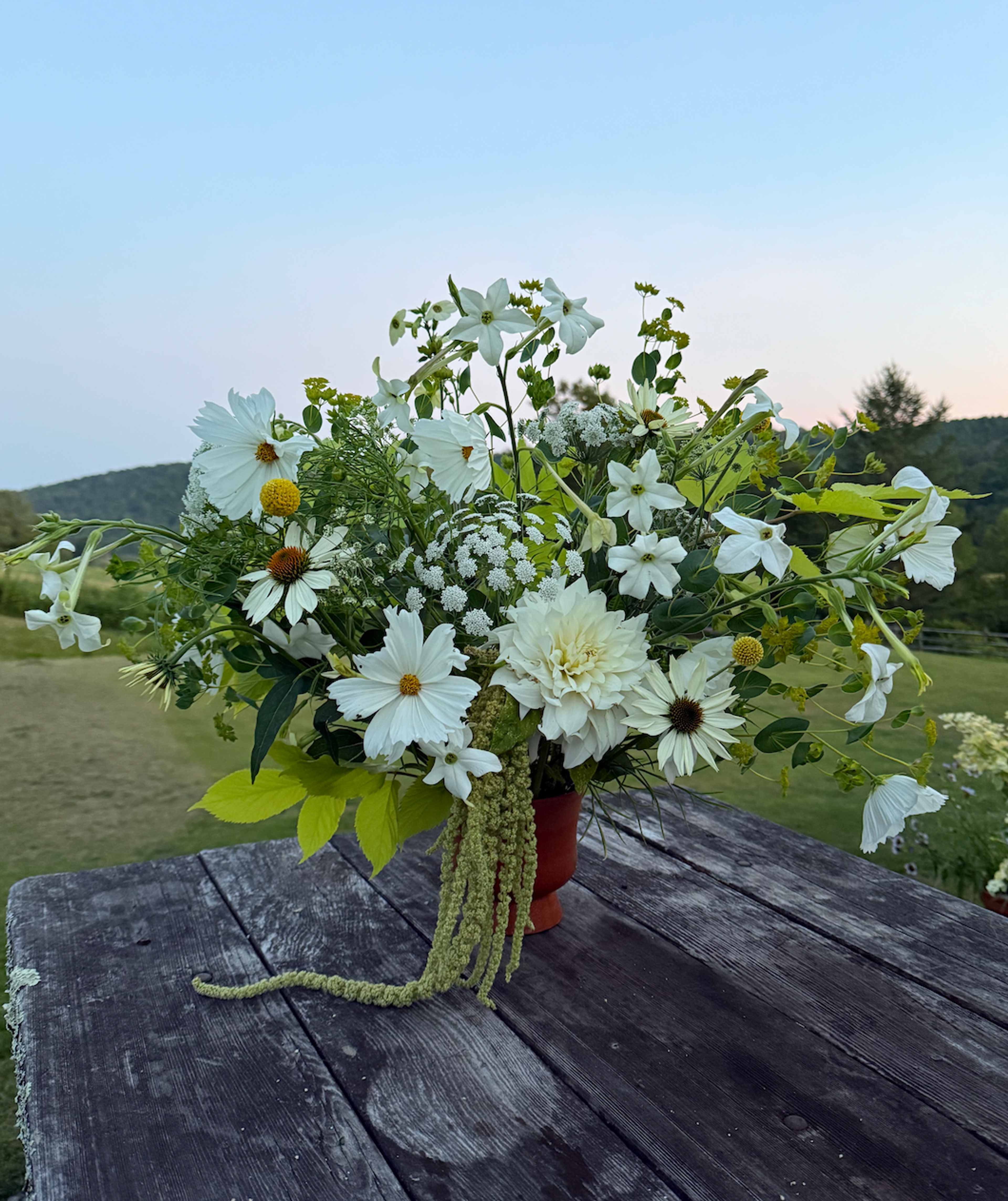 flowers