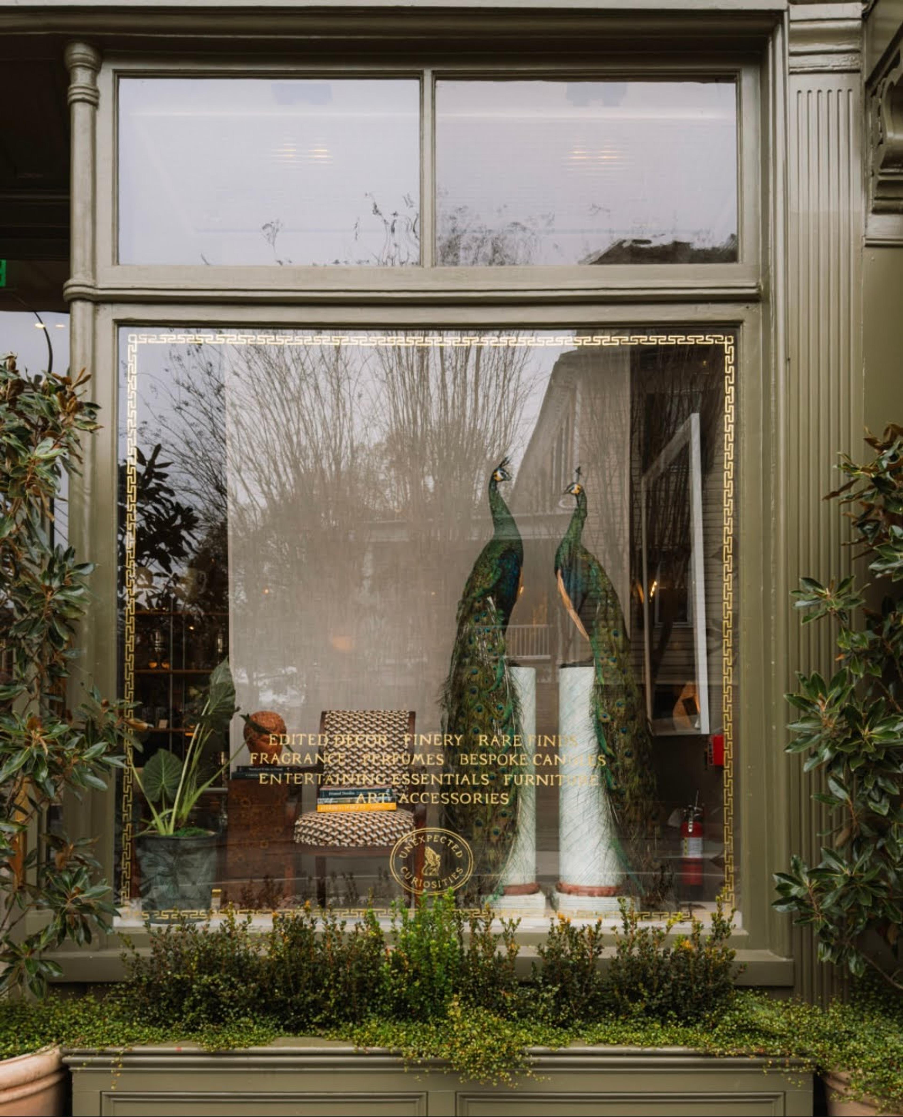 window