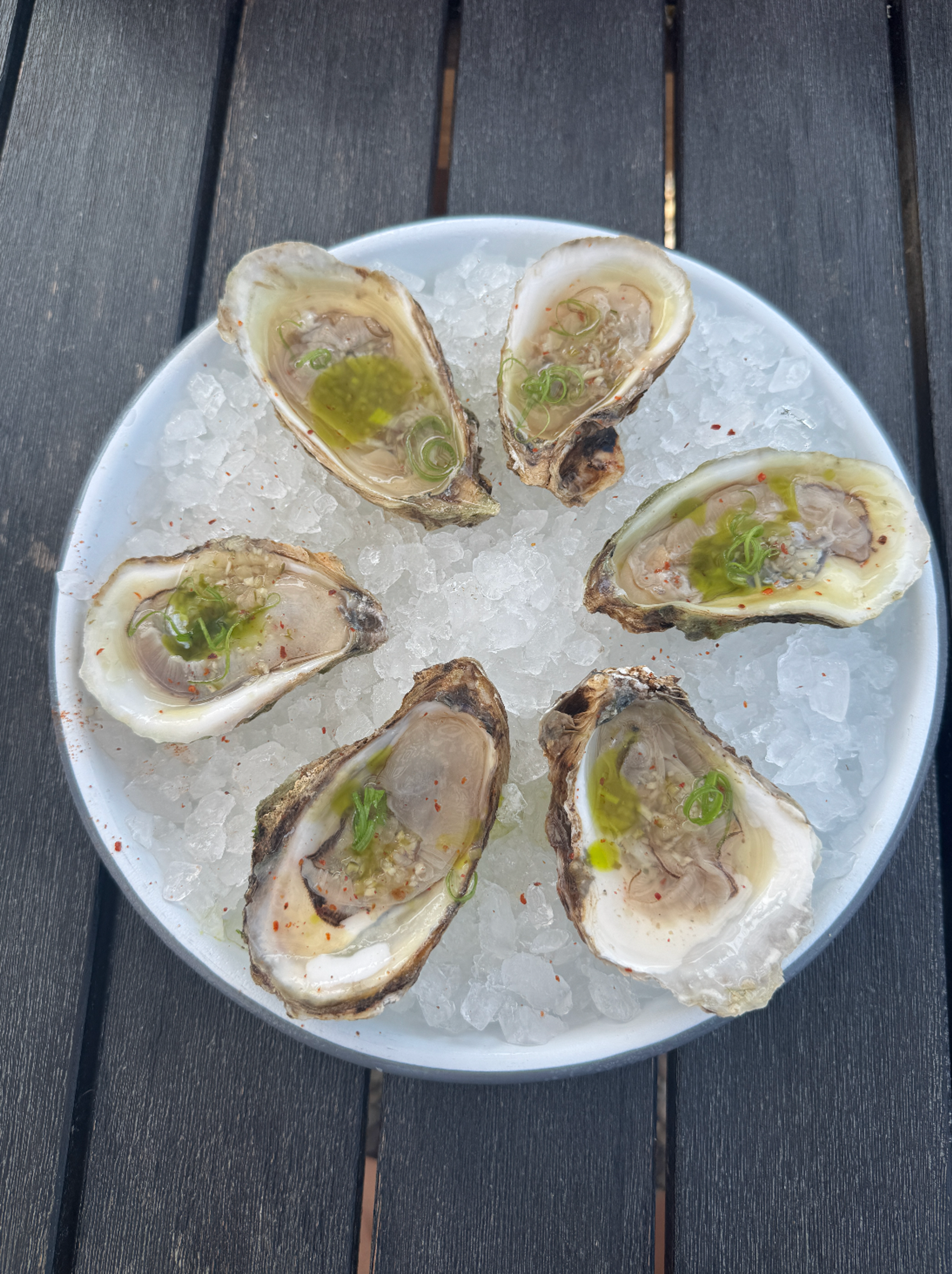 Oysters at Shark Bar