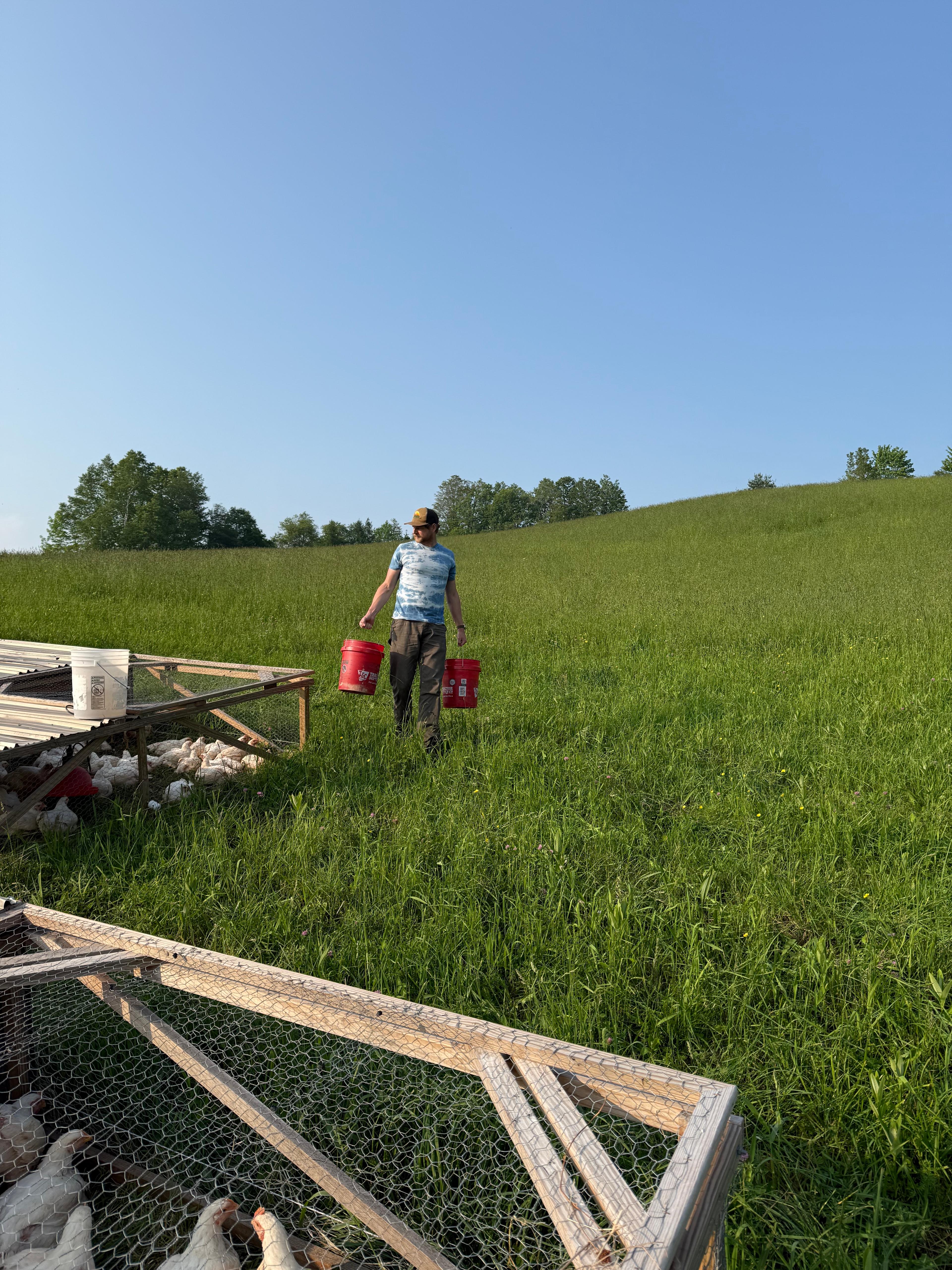 person walking on farm