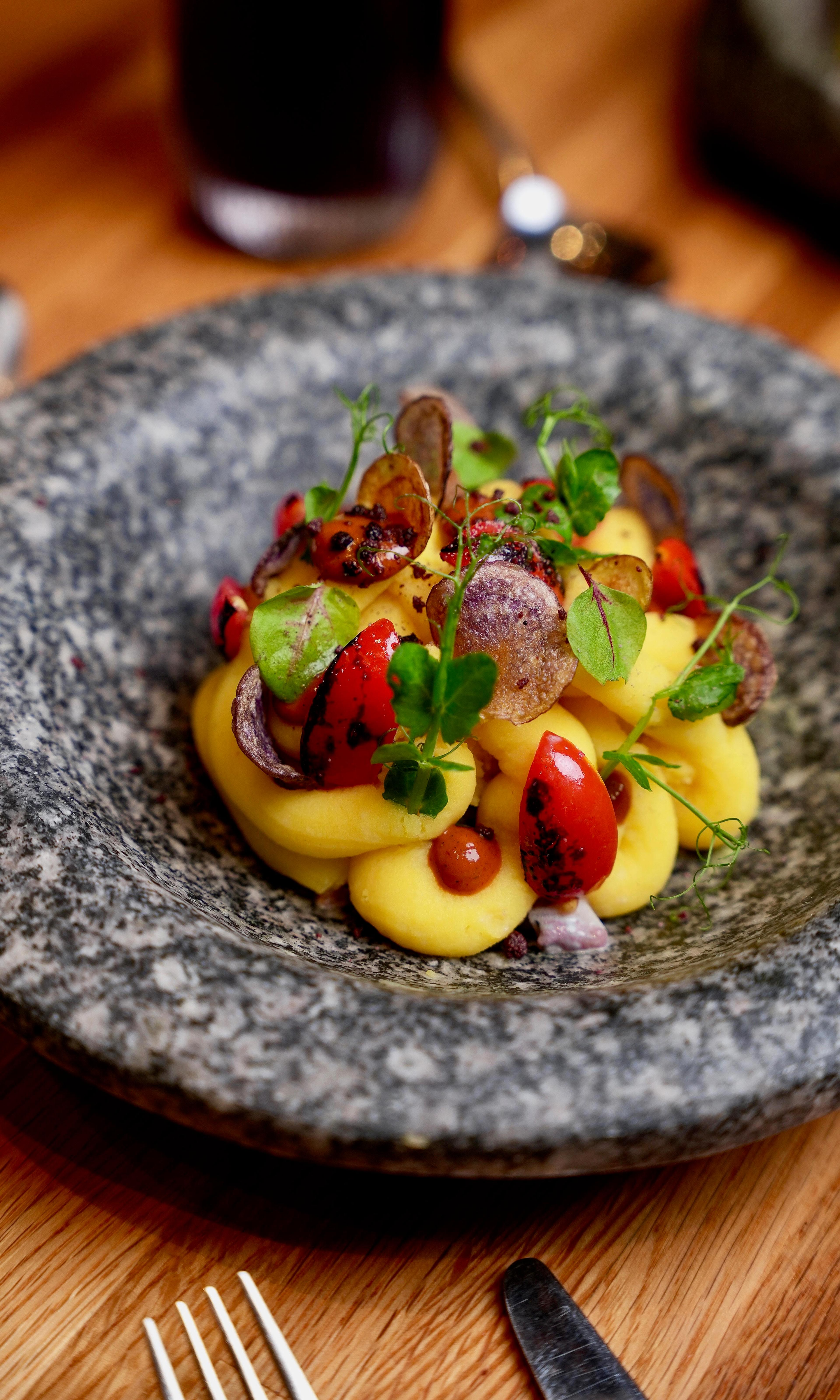 Octopus Causa 