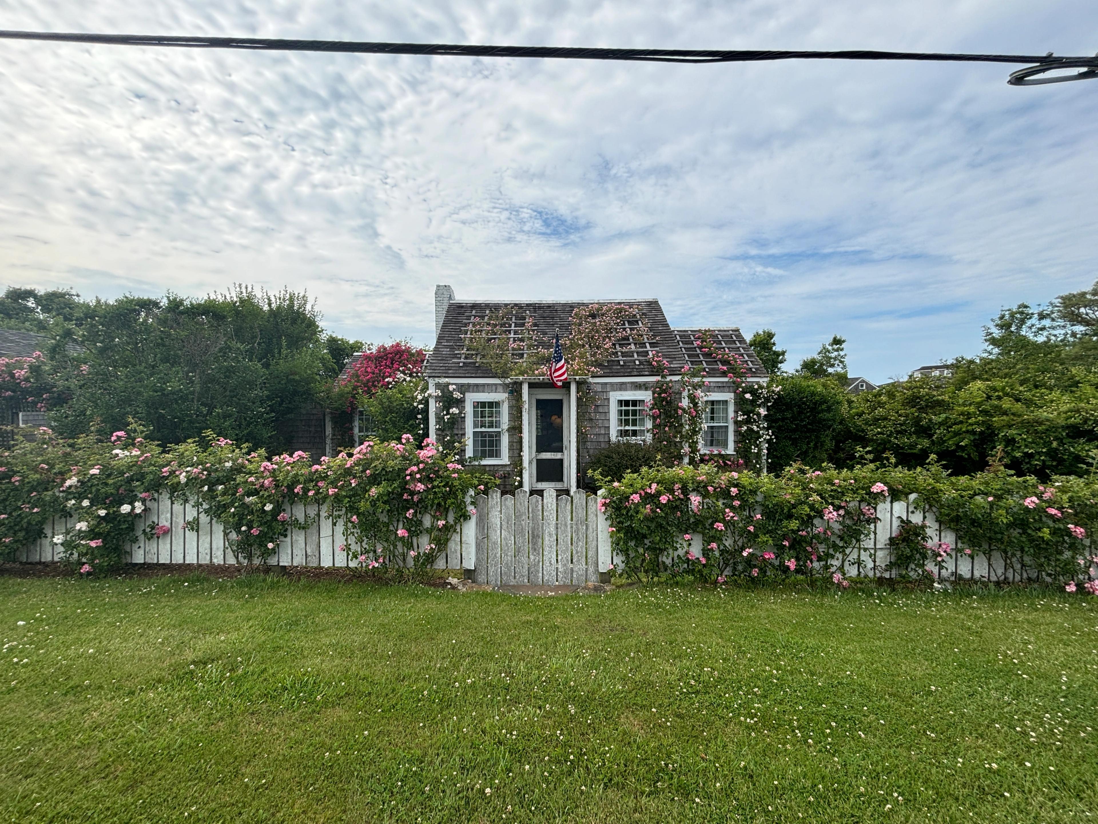 house in Nantucket with pink flowers in front
