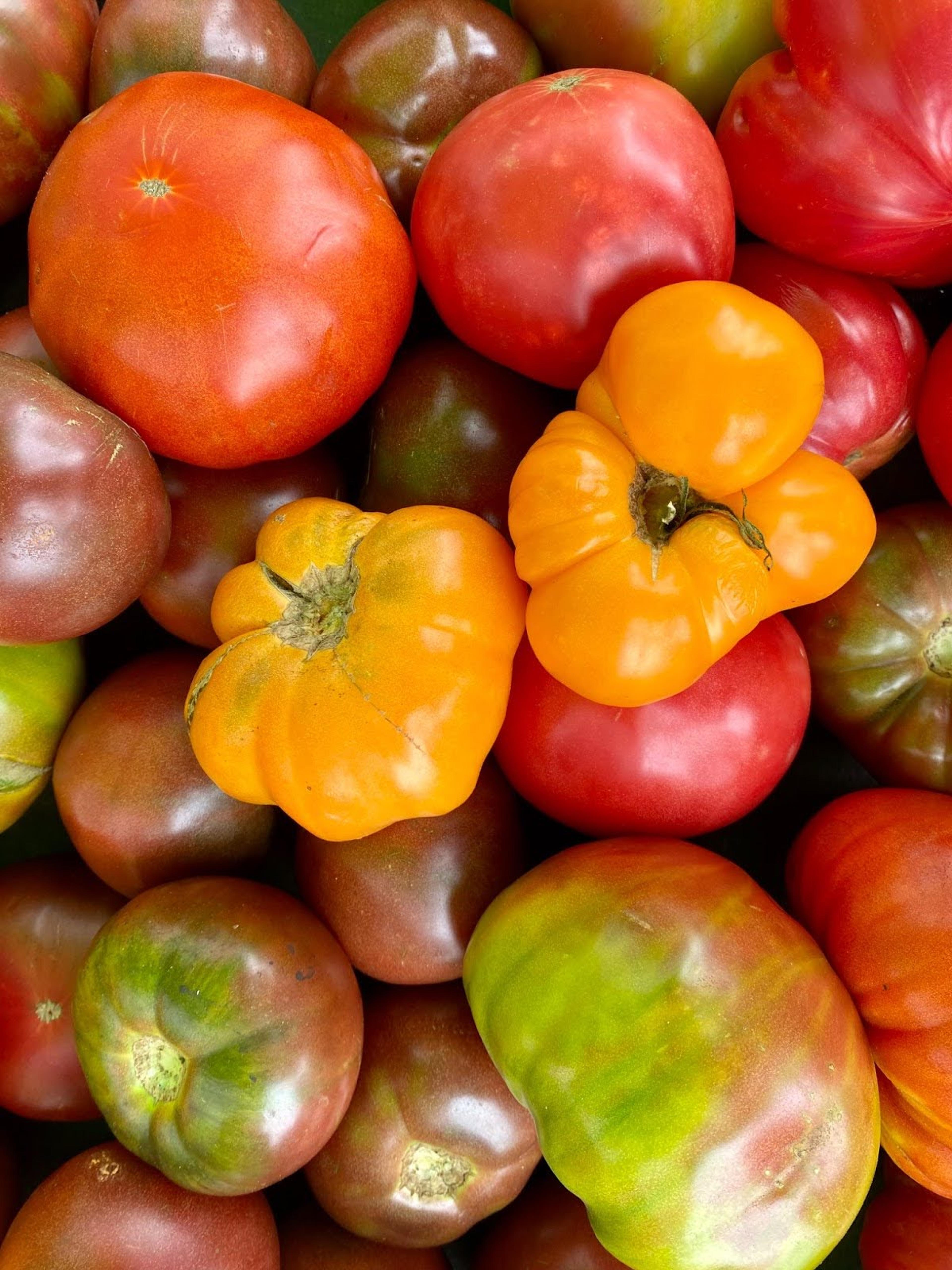 heirloom tomatoes