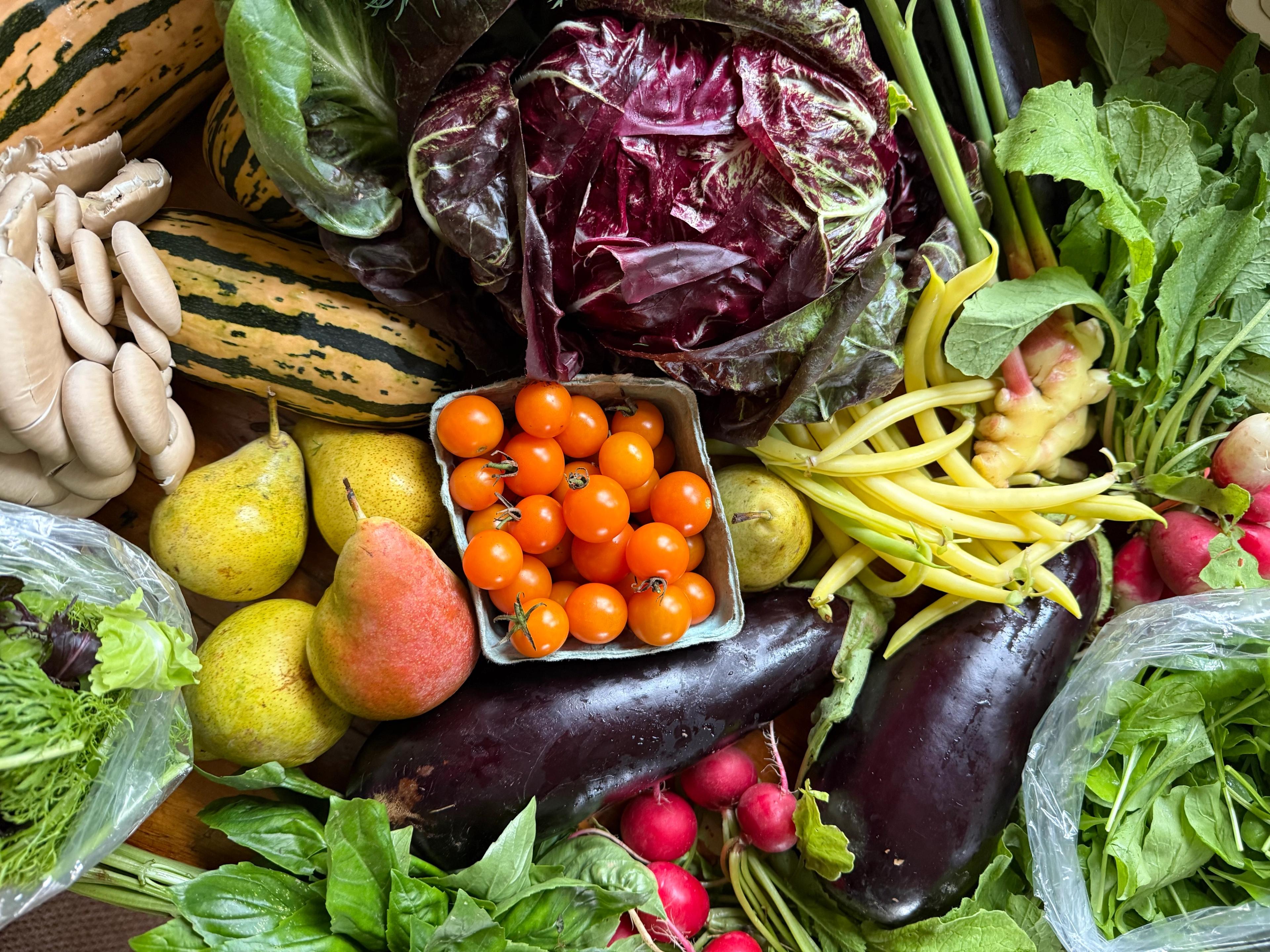 early fall farmers market haul 