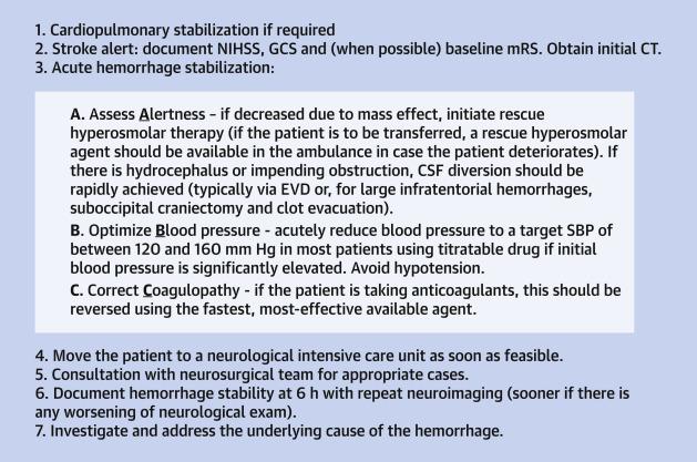 Typical Acute Intracerebral Hemorrhage Workflow