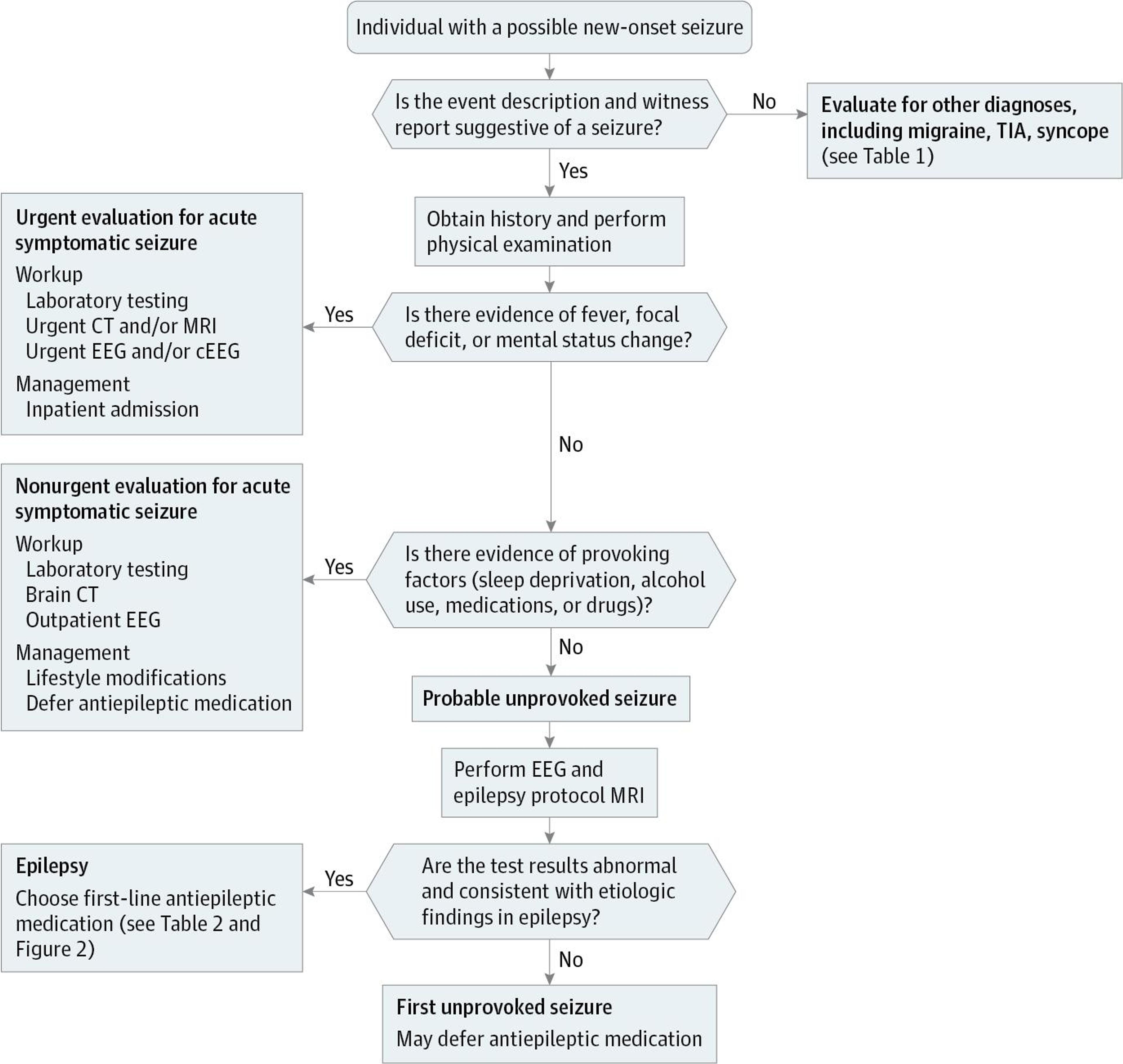 Suggested Systematic Approach to Patients With New-Onset Seizure