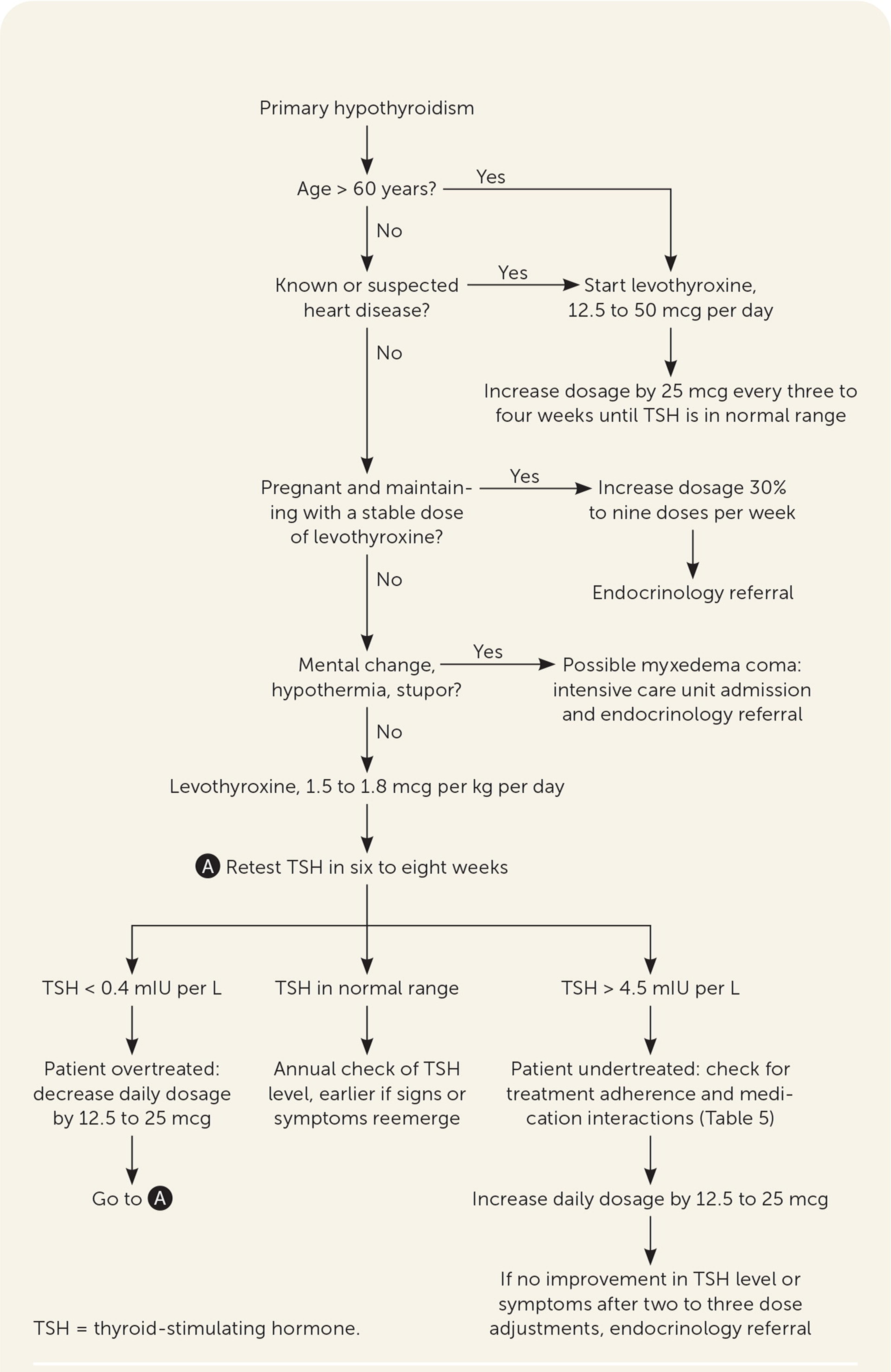Algorithm for the treatment of primary hypothyroidism in adults. Information from references 2, 3, 5, 7, 10, and 20–25.