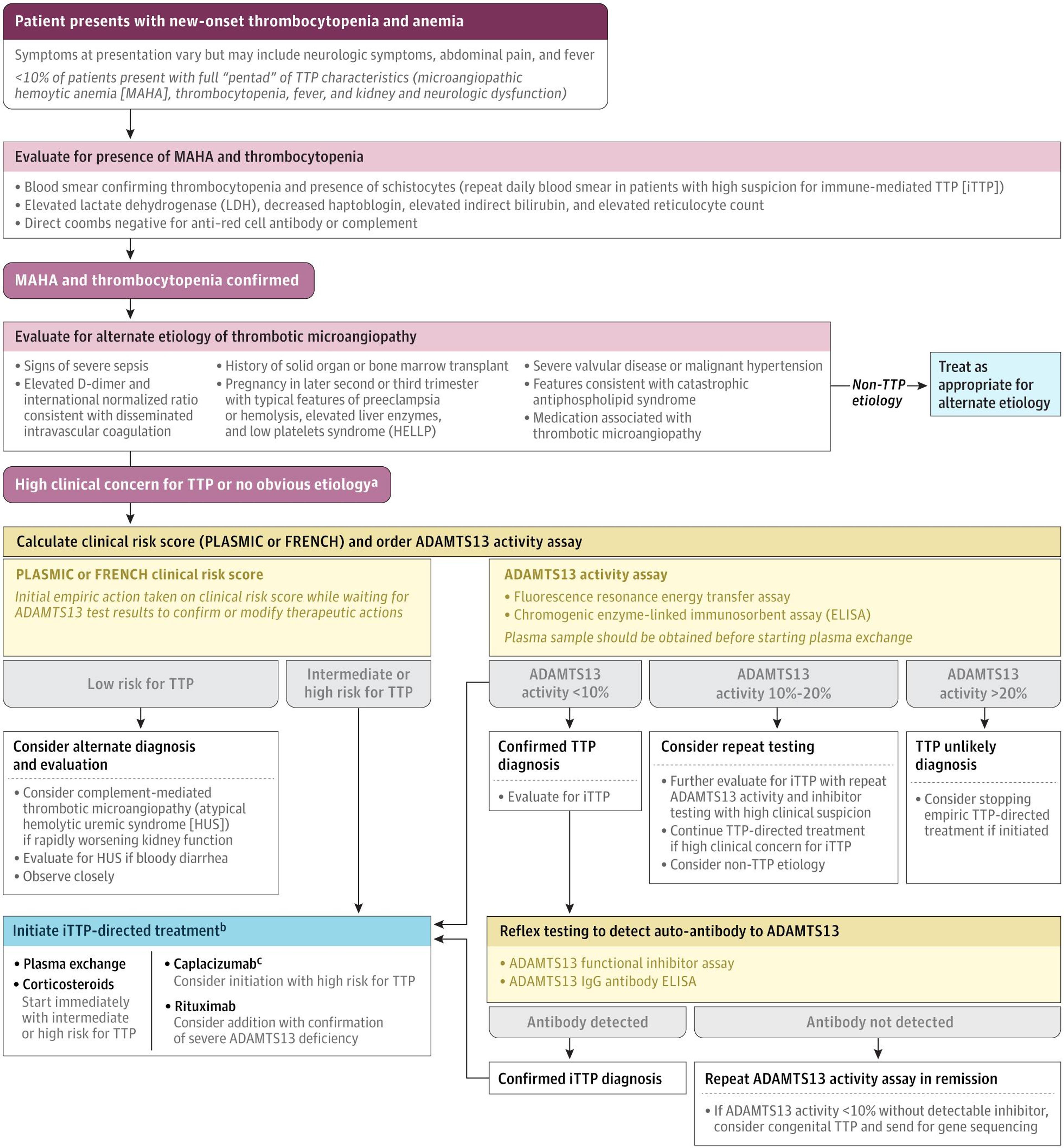 Initial Diagnostic Workflow for Patients With Suspected Thrombotic Thrombocytopenic Purpura