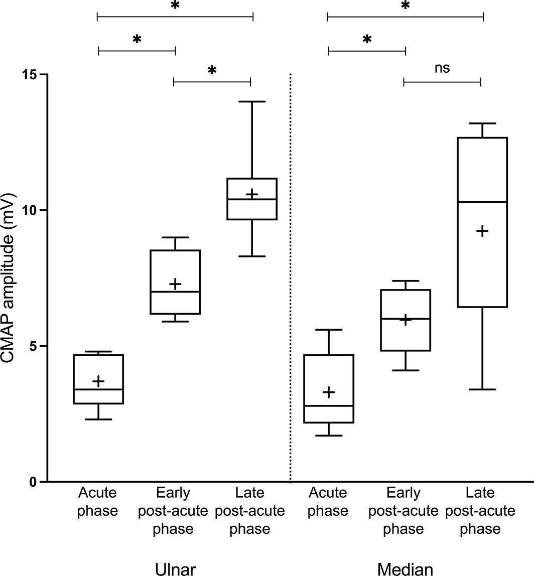 Ulnar‐ and median‐nerve CMAP amplitudes.