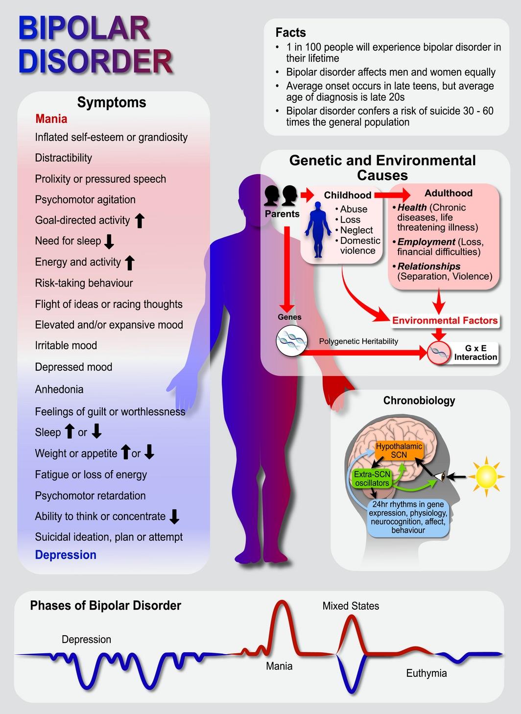 Summary of Bipolar Disorder.
