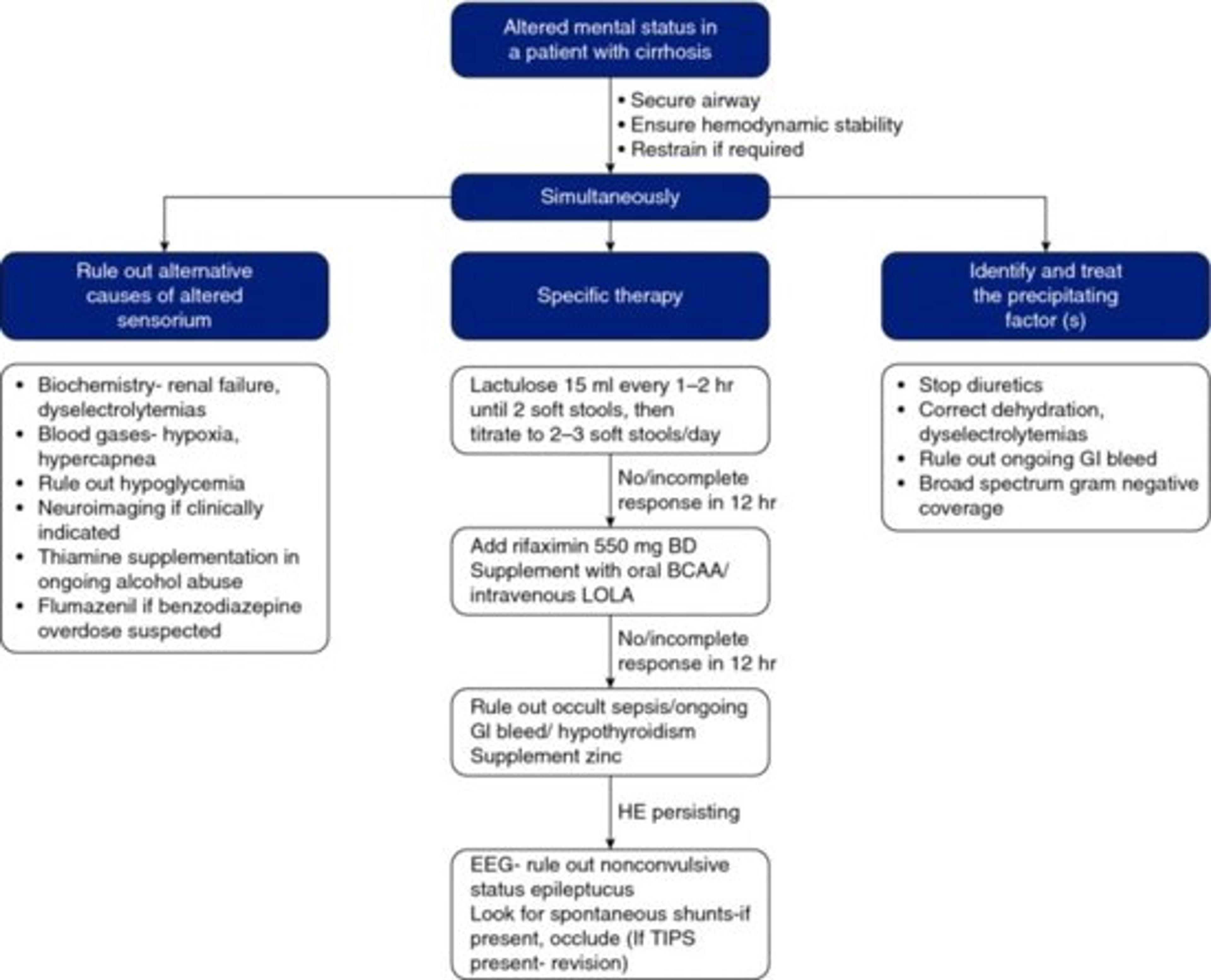 Treatment of acute episode of overt hepatic encephalopathy. BCAA, branch chain amino acids; EEG, electroencephalogram; LOLA, l ‐Ornithine, l ‐Aspartate; TIPS, transjugular intrahepatic postosystemic shunt.