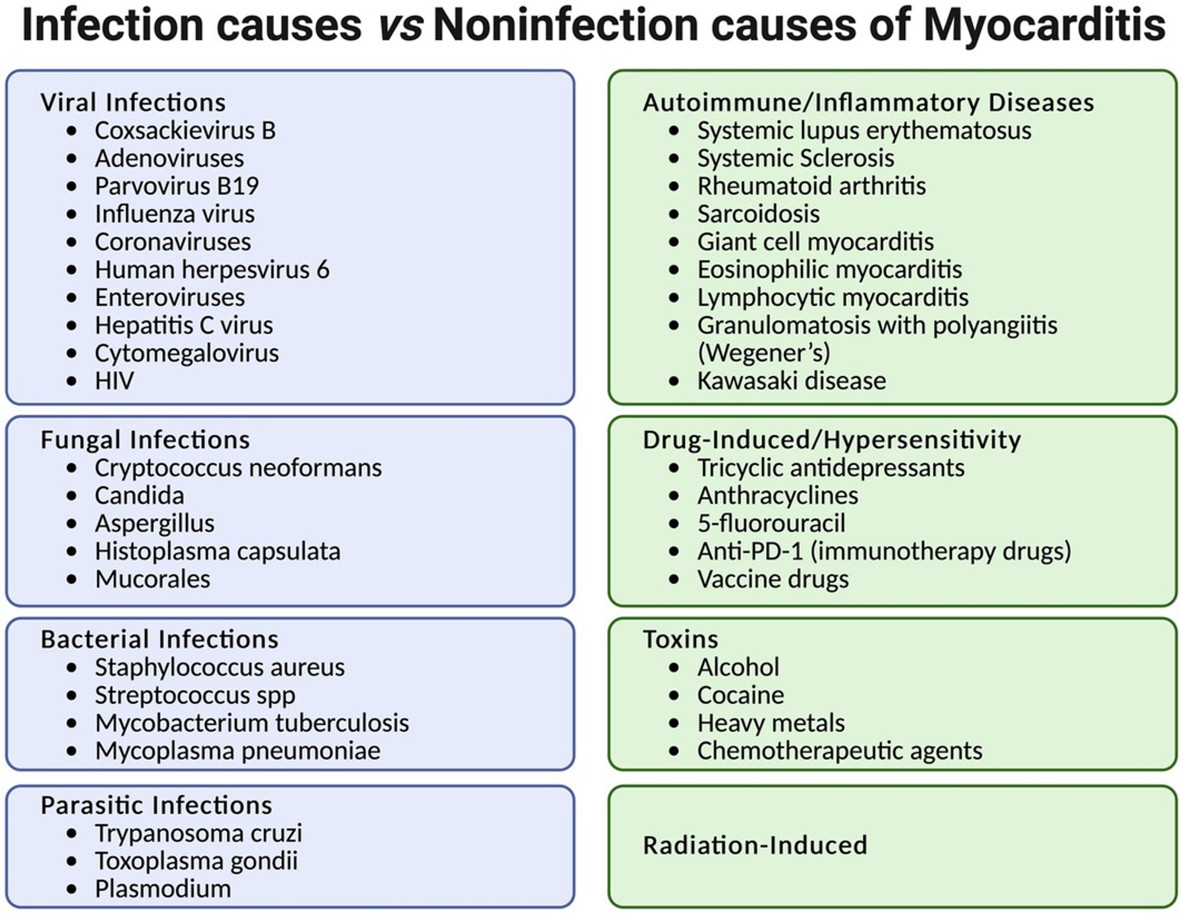 Etiologic categories of myocarditis.
