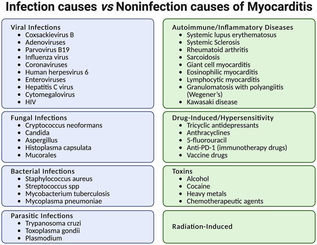 Etiologic categories of myocarditis.