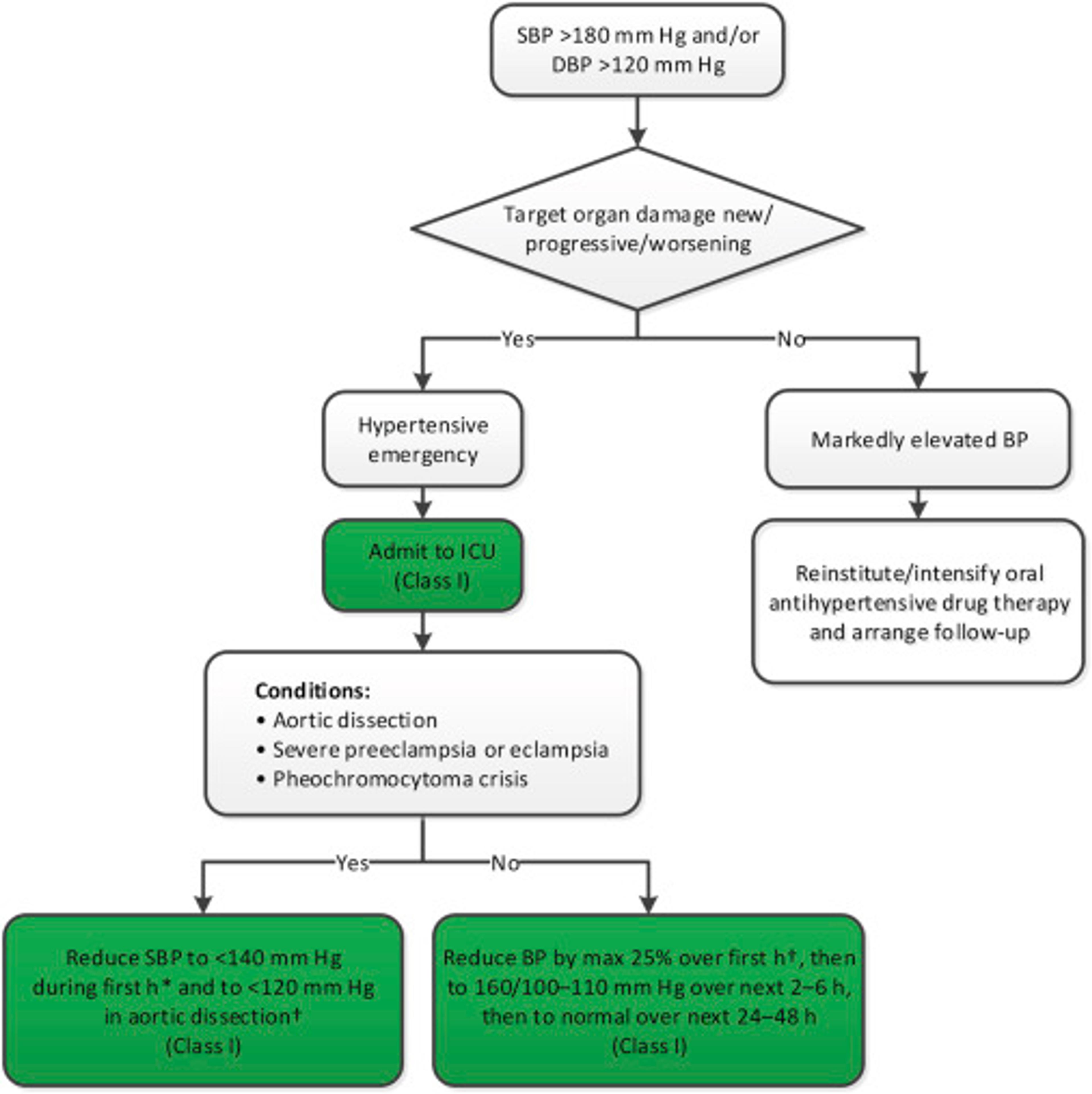 Diagnosis and Management of a Hypertensive Crisis