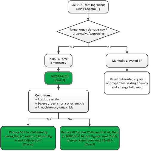 Diagnosis and Management of a Hypertensive Crisis
