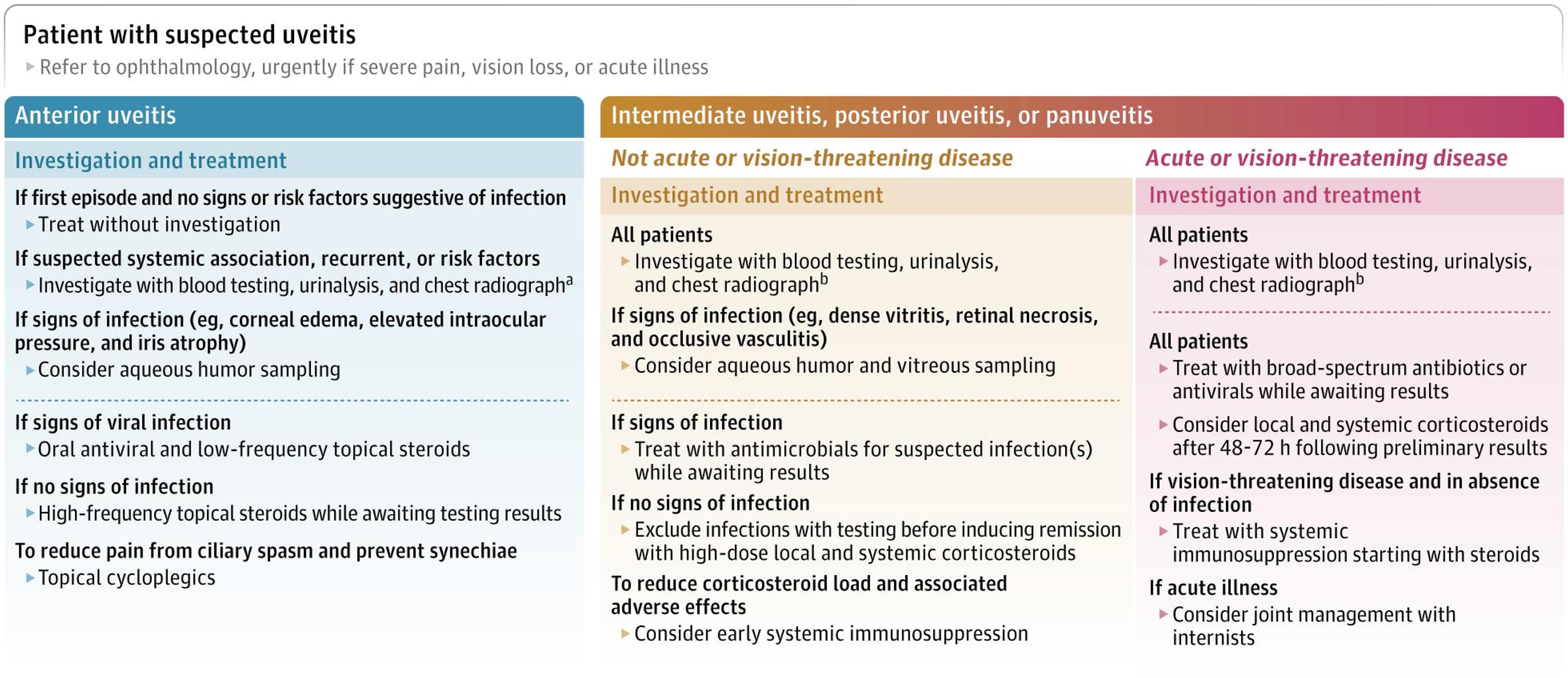 Algorithm for the Initial Investigation and Management of Care for Patients With Possible Uveitis