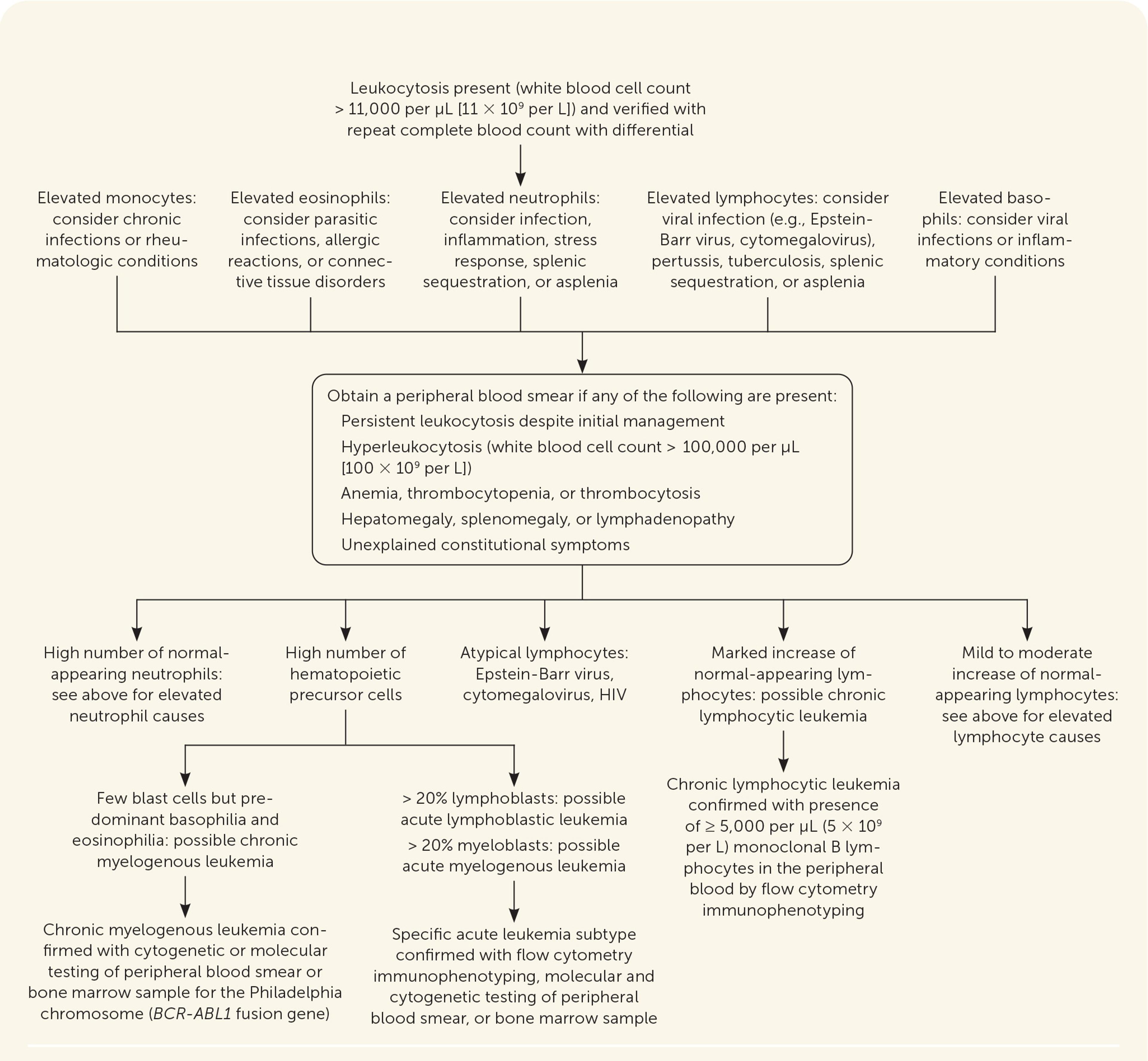 Algorithm for the evaluation of possible leukemia. Adapted with permission from Davis AS, Viera AJ, Mead MD. Leukemia: an overview for primary care. Am Fam Physician. 2014;89(9):734.