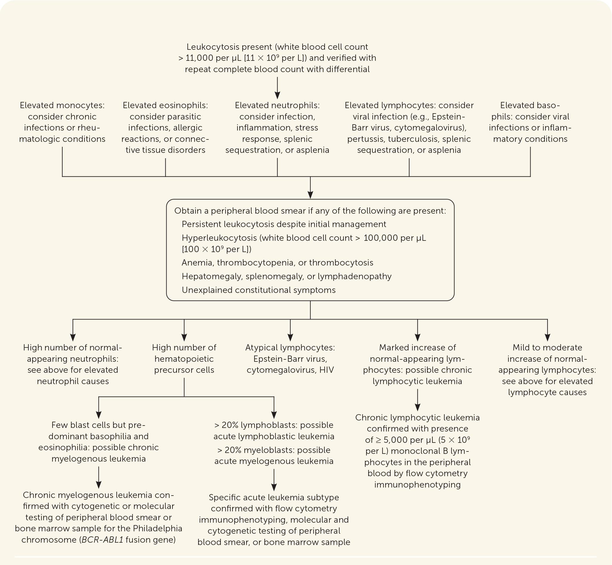 Algorithm for the evaluation of possible leukemia. Adapted with permission from Davis AS, Viera AJ, Mead MD. Leukemia: an overview for primary care. Am Fam Physician. 2014;89(9):734.