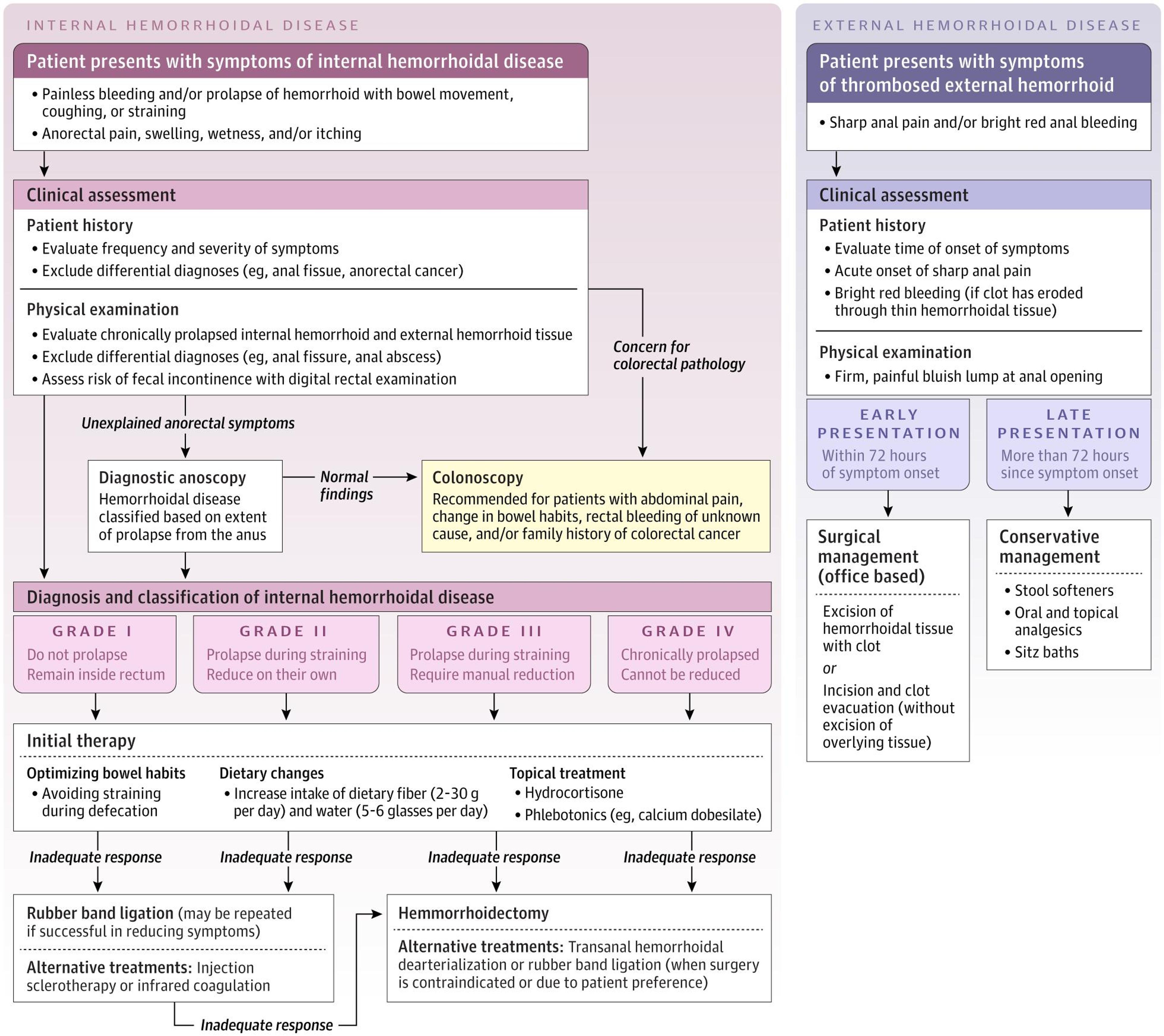 Hemorrhoid and Thrombosed External Hemorrhoid Treatment Algorithm