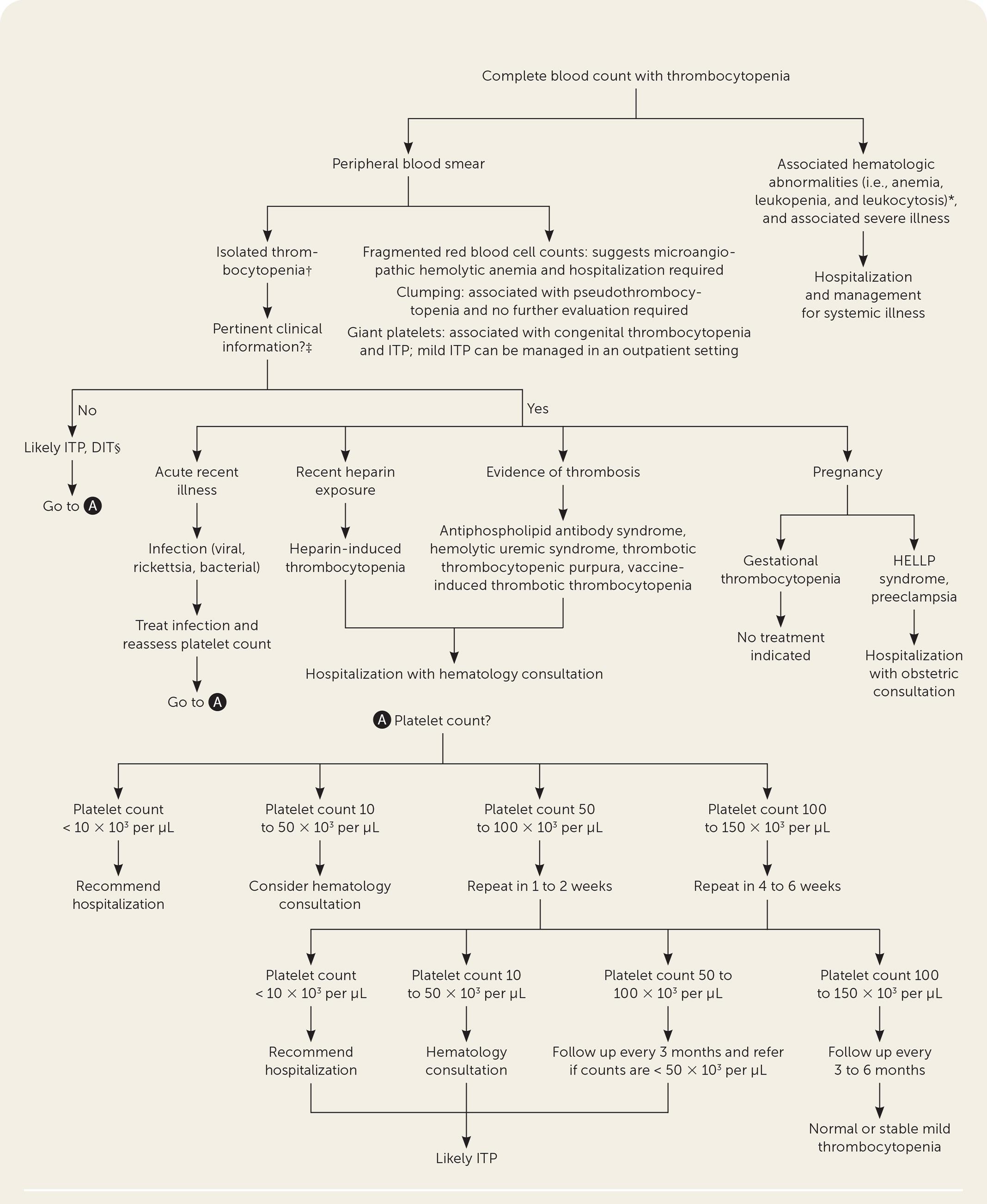 Evaluation of thrombocytopenia. DIT = drug-induced thrombocytopenia; HELLP = hemolysis, elevated liver enzymes, and low platelet count; ITP = immune thrombocytopenia. *—Autoimmune syndromes, bone marrow suppression, congenital syndromes, disseminated intravascular coagulation, hematologic or infiltrative malignancy, HELLP syndrome, hepatic disease, mechanical destruction, nutritional deficiencies, paroxysmal nocturnal hemoglobinuria, rickettsia or viral infection, thrombotic thrombocytopenic purpura, hemolytic uremic syndrome. †— Alcohol-induced thrombocytopenia, DIT, gestational thrombocytopenia, heparin-induced thrombocytopenia, ITP, rickettsia, or viral infection. ‡—Any evidence of bleeding should be referred to the emergency department. §—DIT typically resolves in 7 to 10 days after removal of the suspected agent.