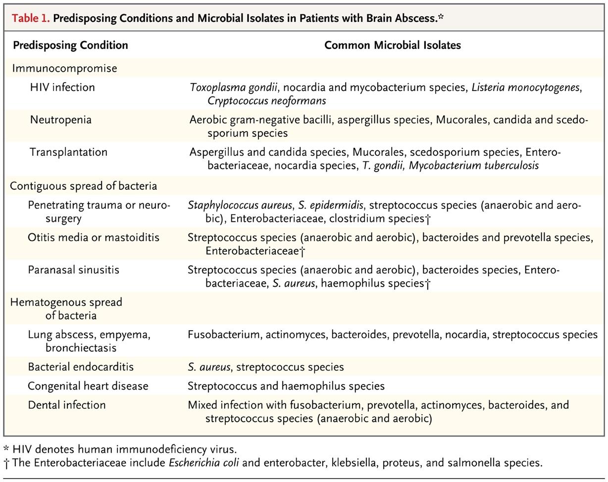 Predisposing Conditions and Microbial Isolates in Patients with Brain Abscess.