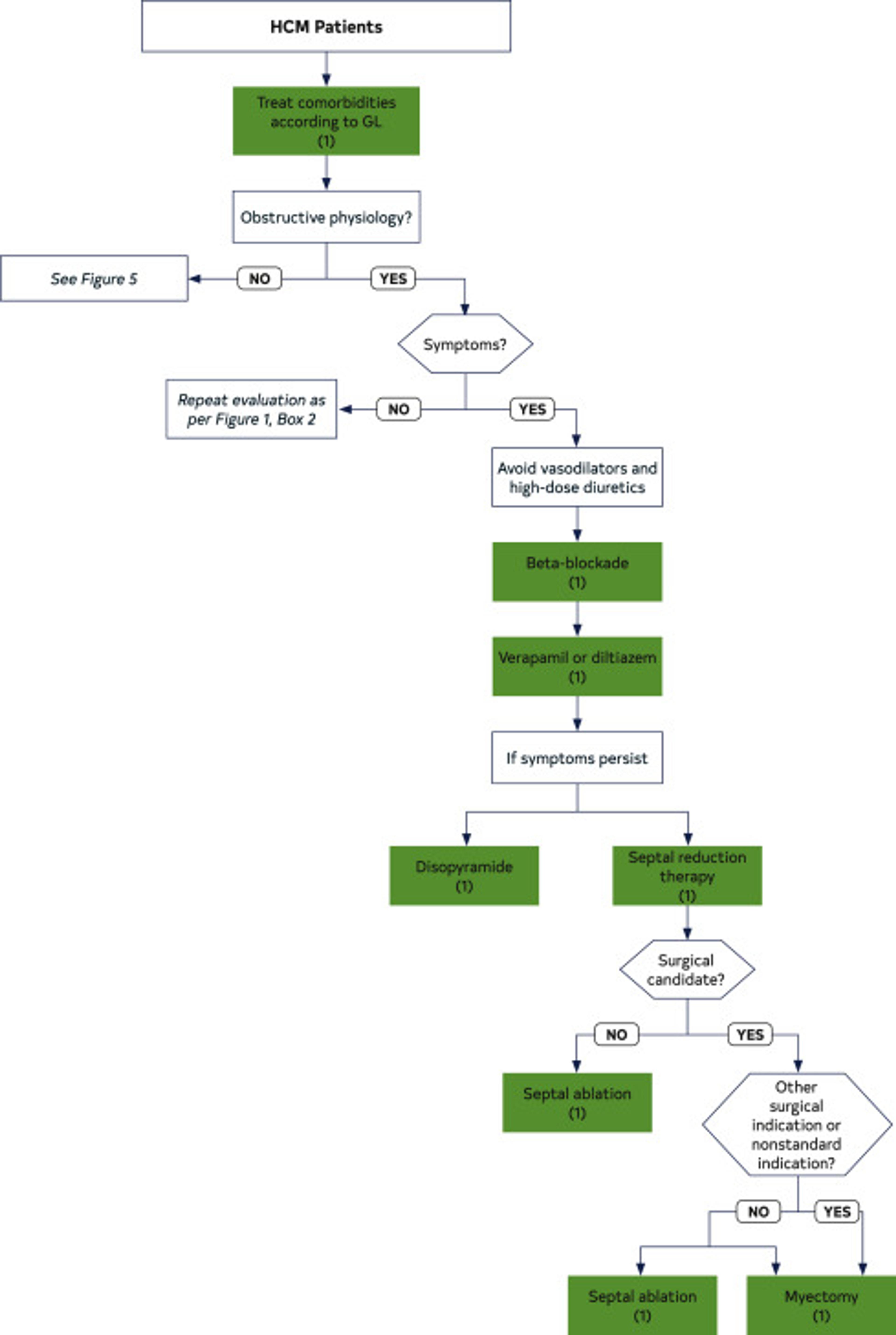 Management of Symptoms in Patients With HCM
