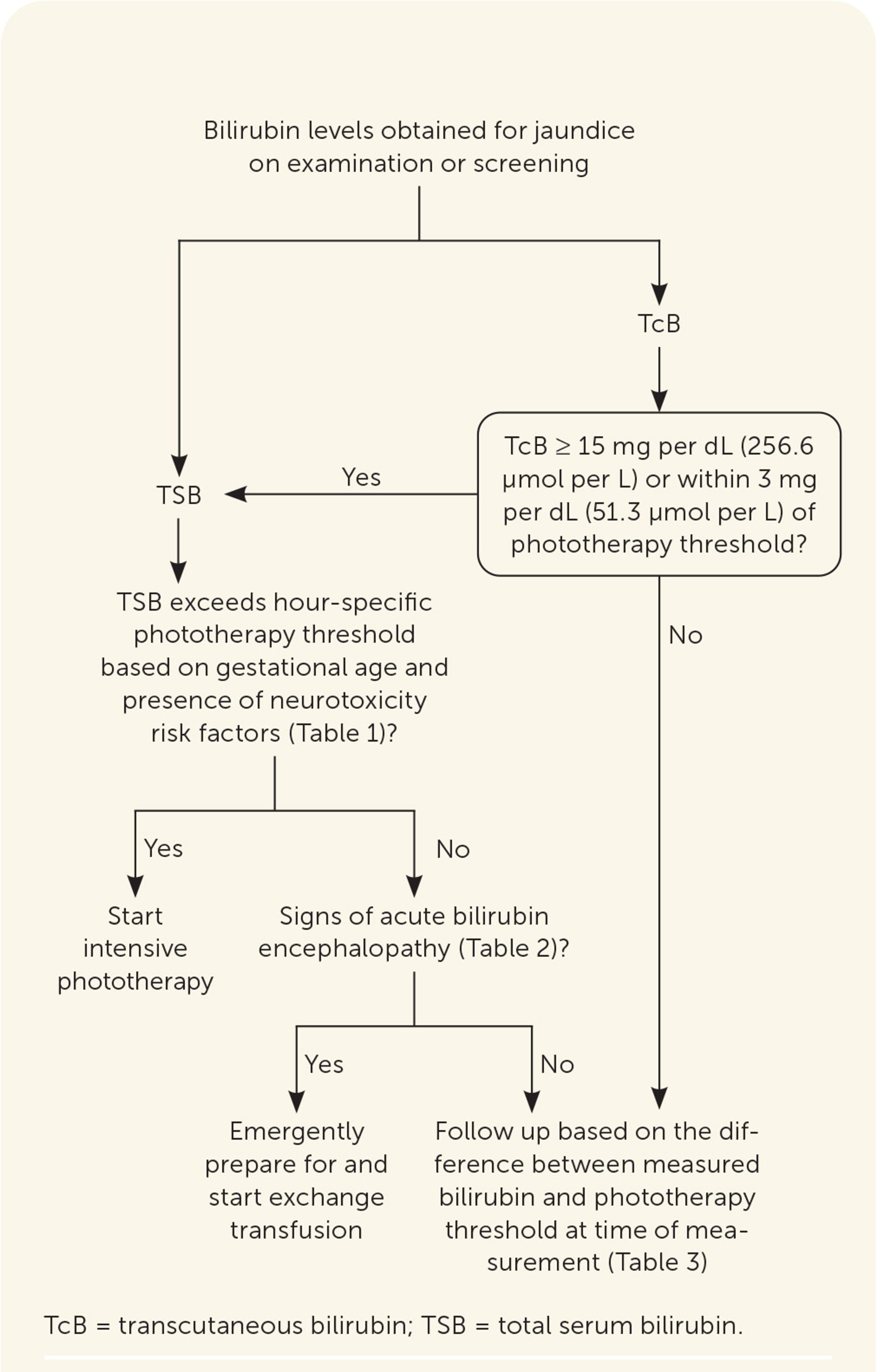 Diagnosis of neonatal hyperbilirubinemia. Information from references 4 and 33.