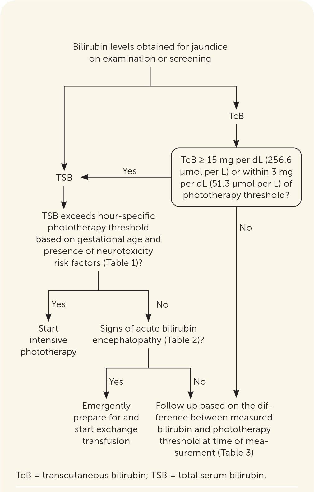 Diagnosis of neonatal hyperbilirubinemia. Information from references 4 and 33.