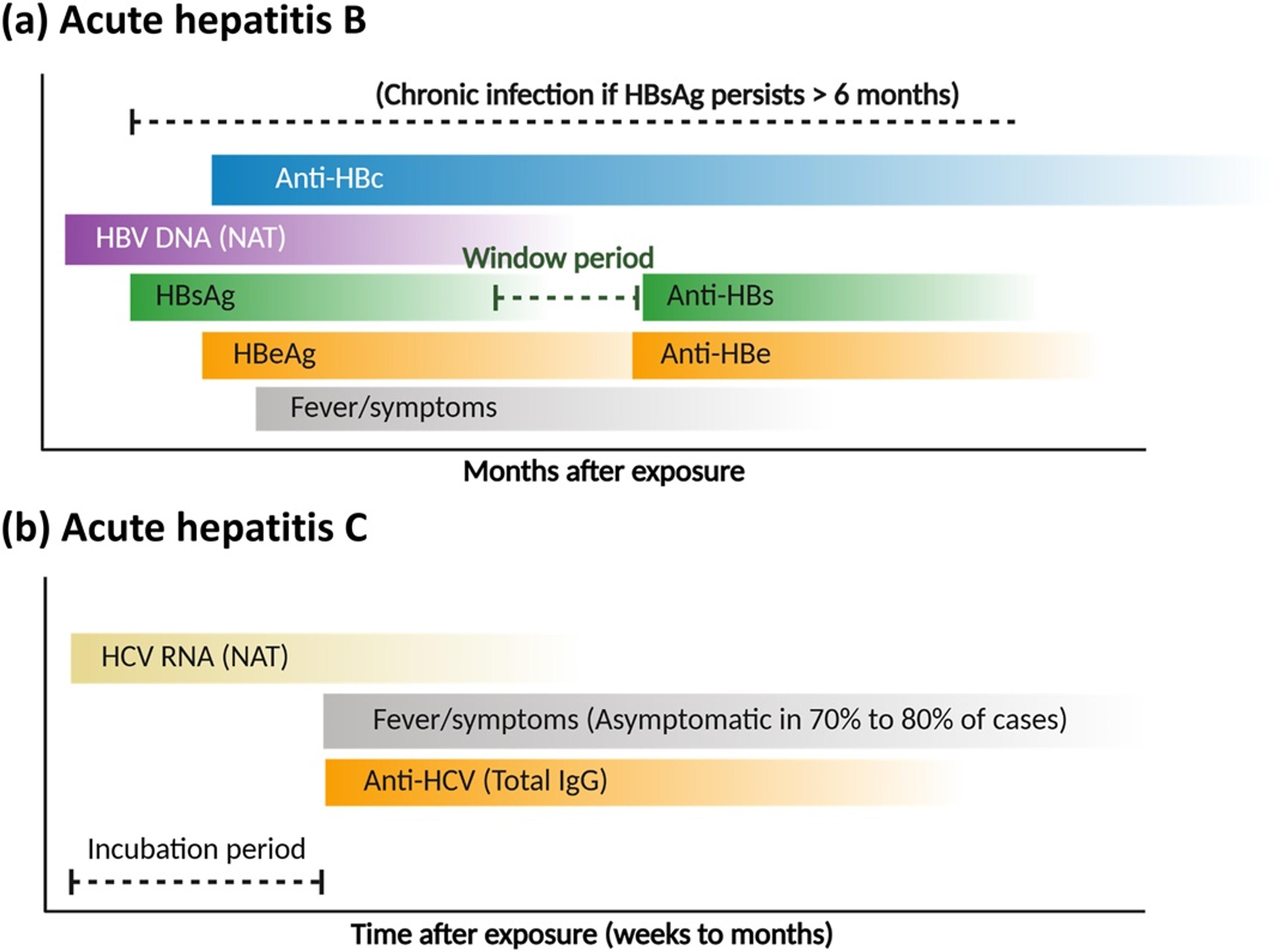 Temporal profile of molecular and serological biomarkers in (a) acute hepatitis B and (b) acute hepatitis C. The schematic illustrates the kinetics of key viral markers, including NAT and antigens/antibodies, relative to the clinical incubation period and symptom onset.