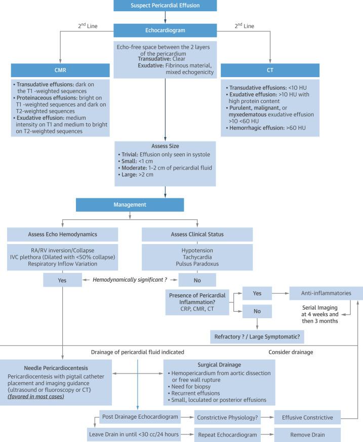 Novel Algorithm for the Diagnostic and Therapeutic Approaches to a PEff