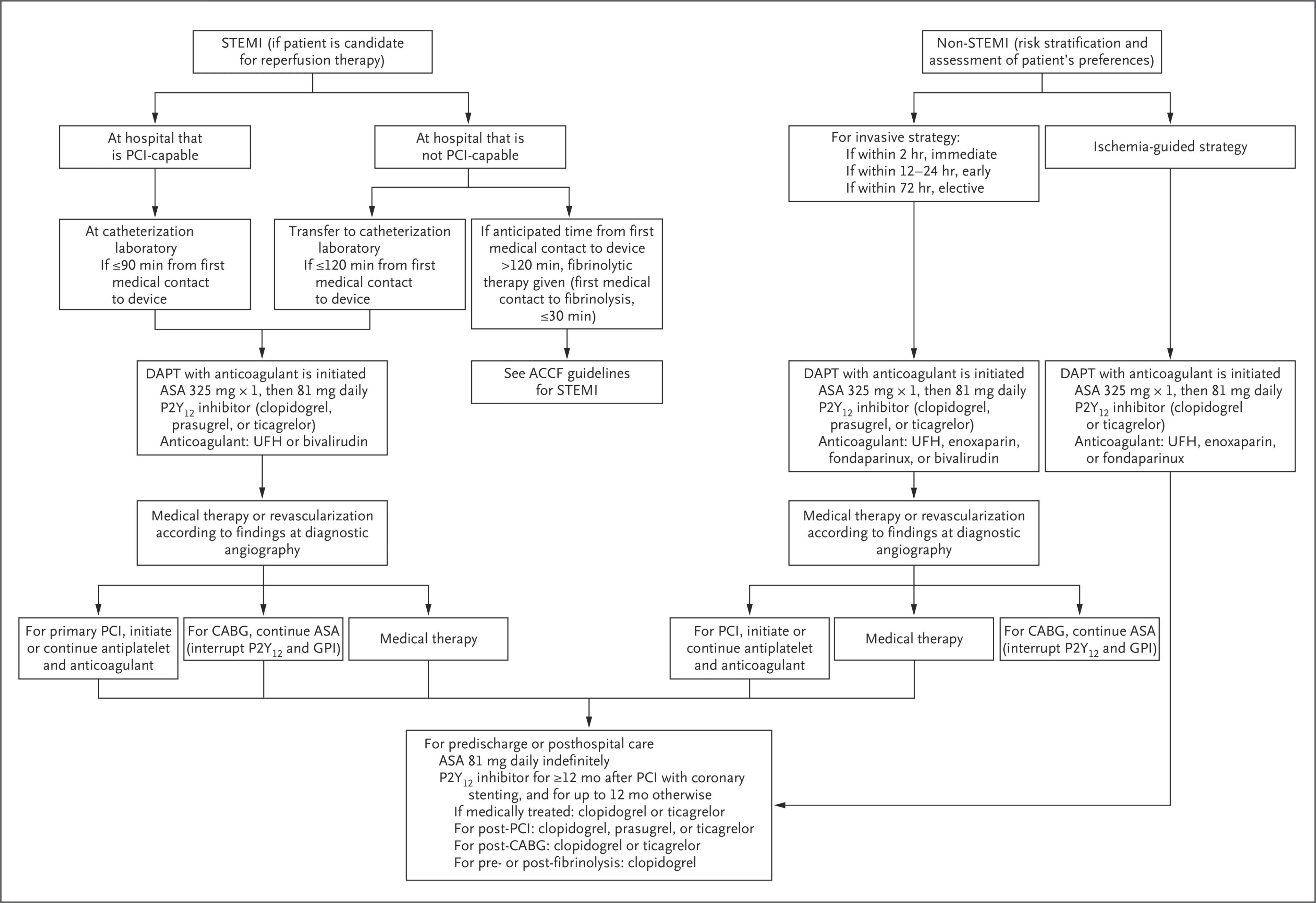 Algorithms for the Management of STEMI and Non-STEMI Acute Coronary Syndromes.