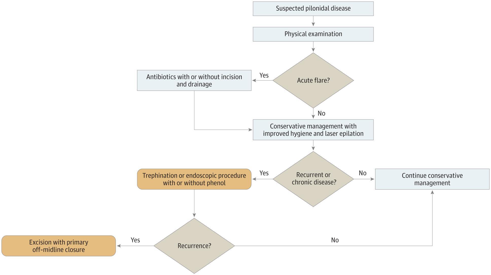 Potential Hierarchical Algorithm for Management of Pilonidal Disease