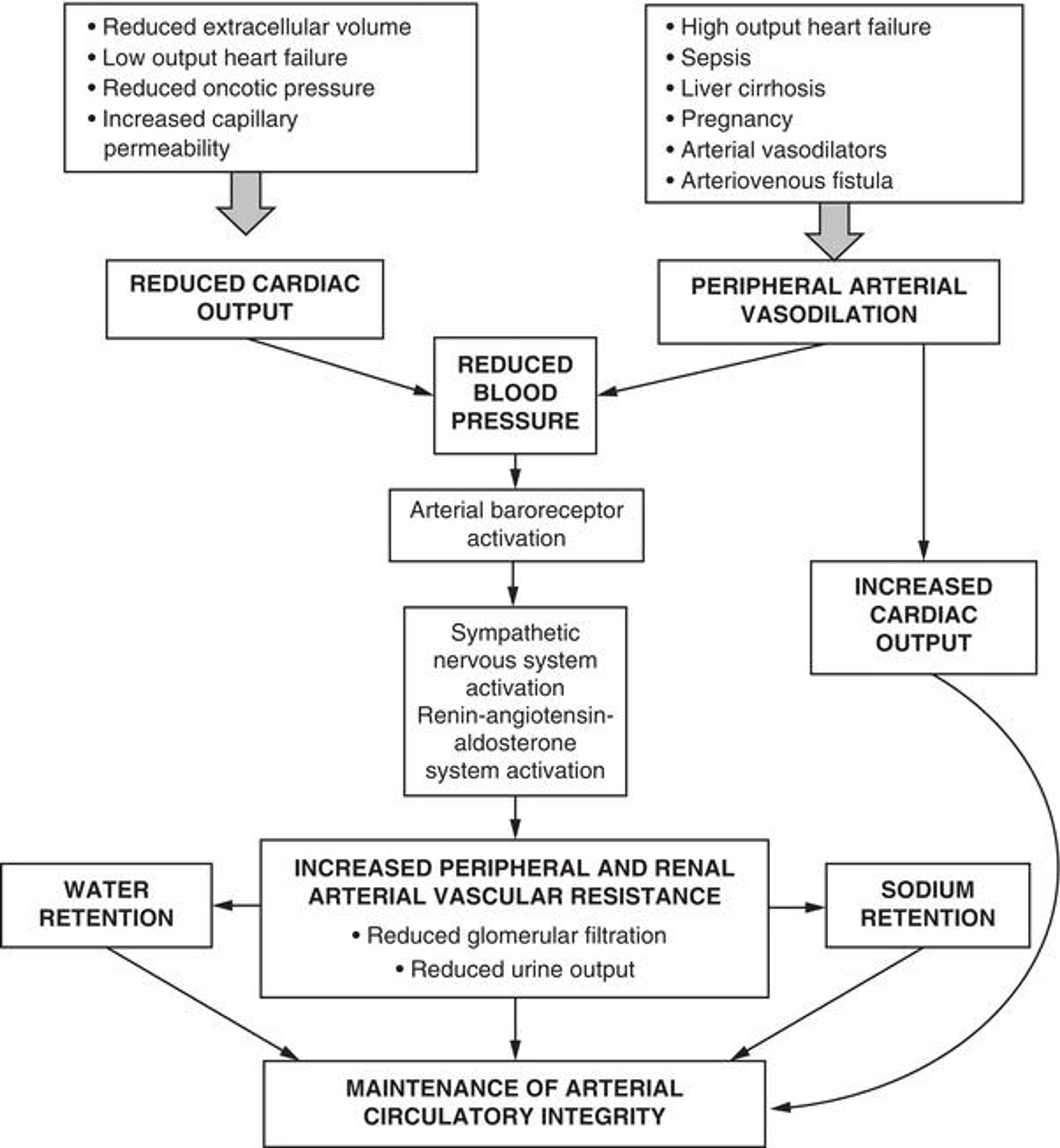 Pre‐renal failure progression (Steddon et al. / Oxford University Press).