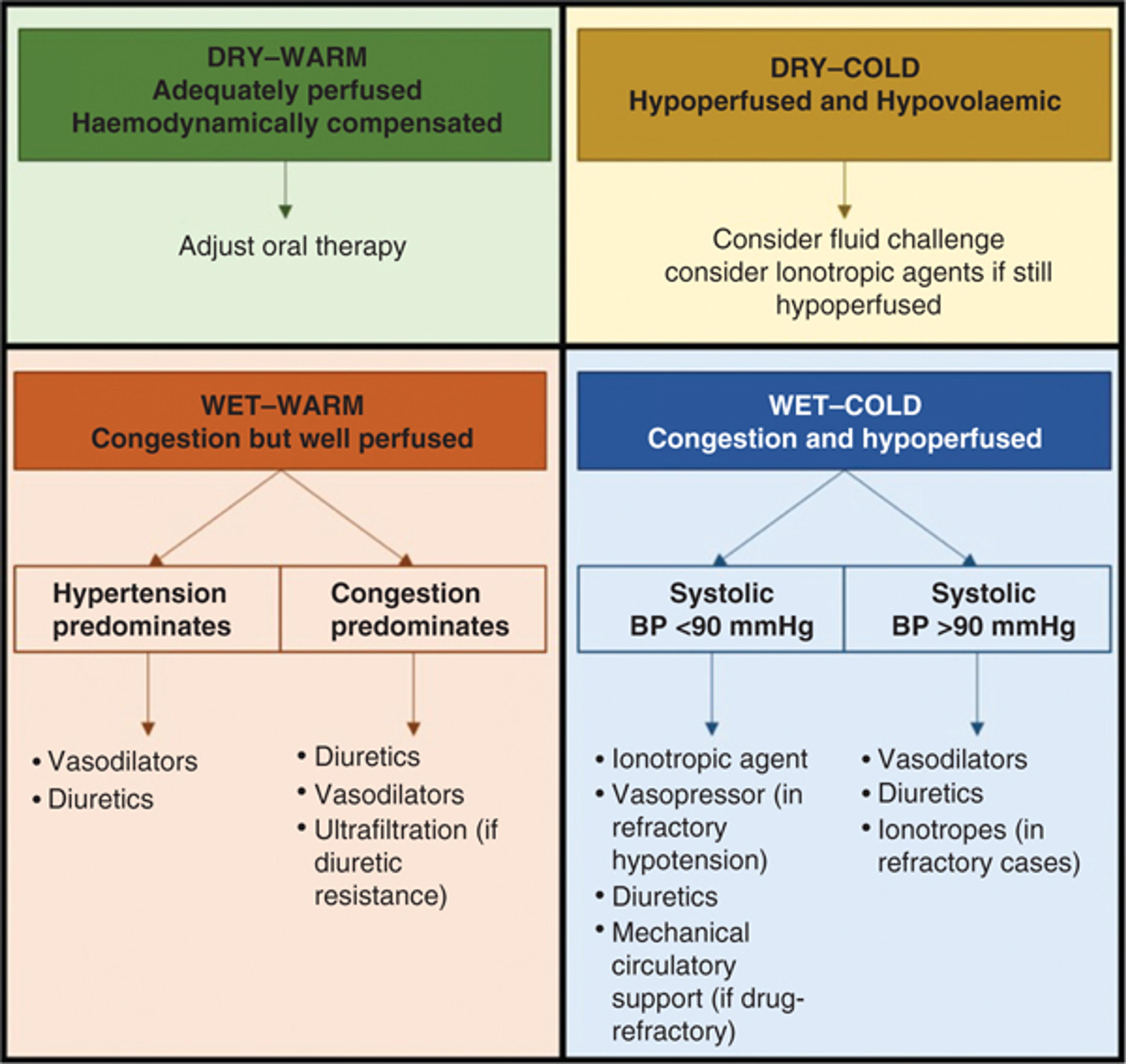 Summary of the Lynne Stevenson's four‐quadrants presentation and treatments. Source : From the European Society of Cardiology (ESC) 2016 guidelines .