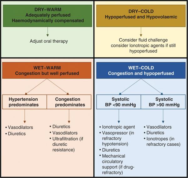 Summary of the Lynne Stevenson's four‐quadrants presentation and treatments. Source : From the European Society of Cardiology (ESC) 2016 guidelines .