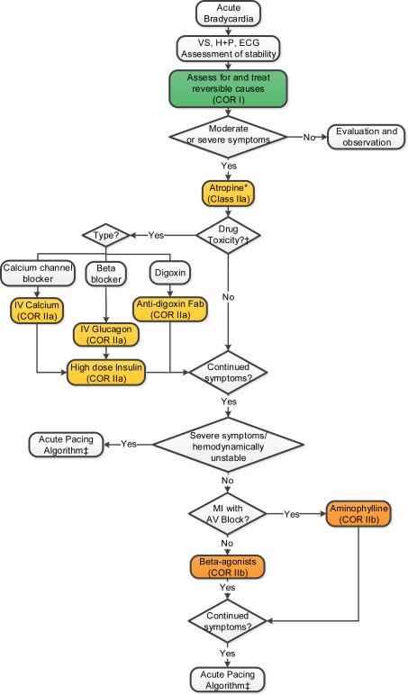 Acute Bradycardia Algorithm