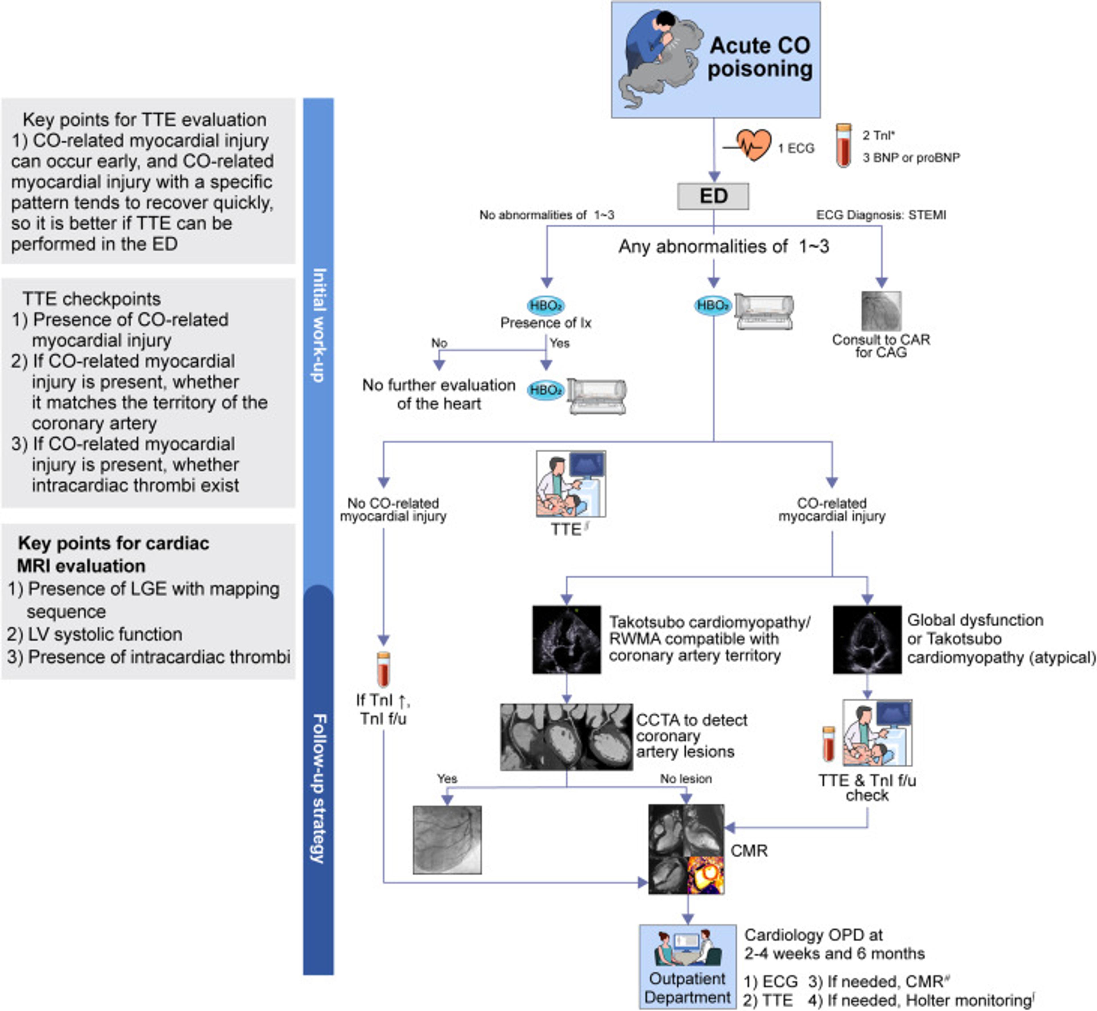 Approach to Evaluate Cardiac Injury in CO Poisoning