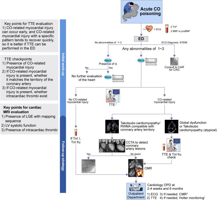 Approach to Evaluate Cardiac Injury in CO Poisoning